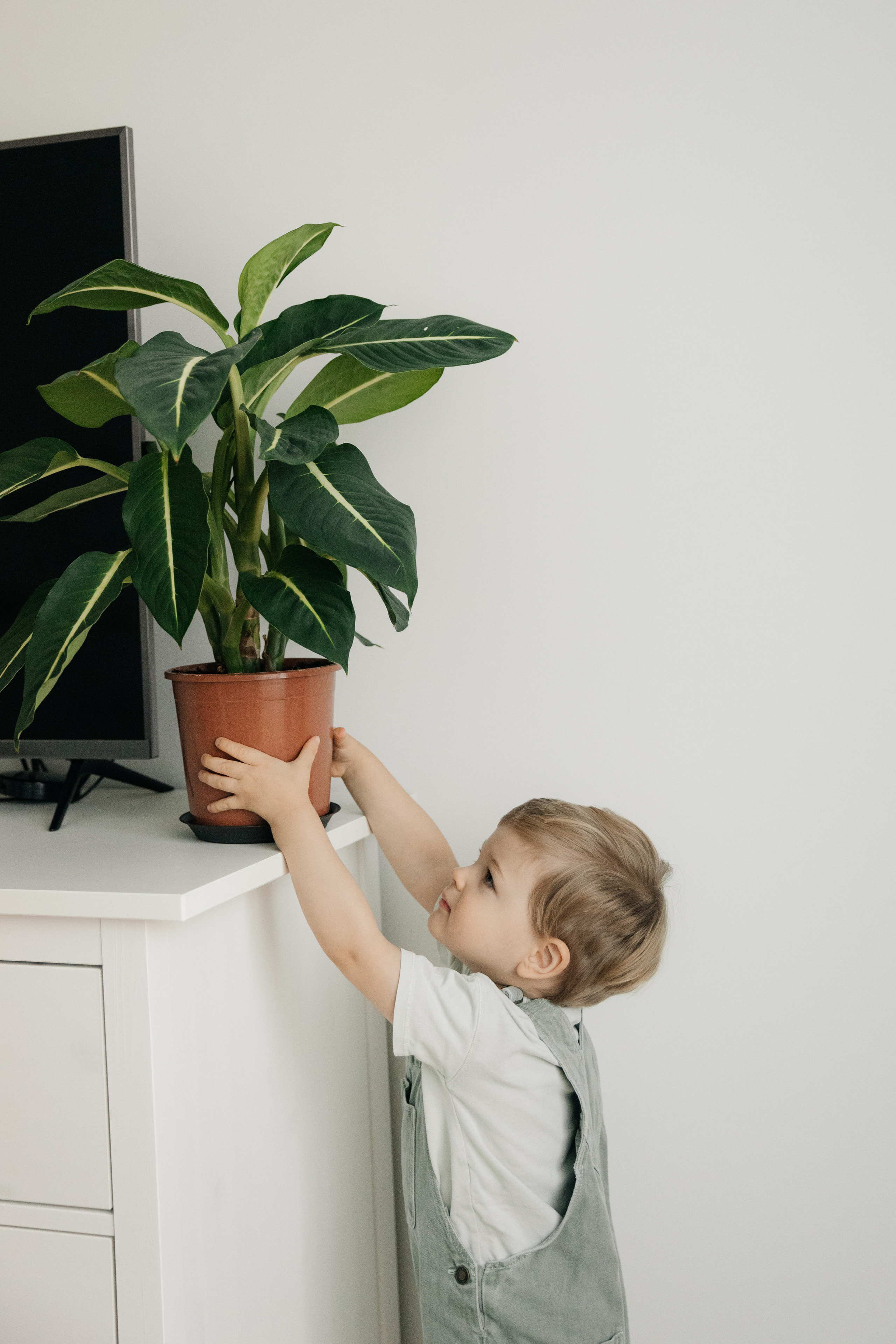 Саша, Катя и СанСаныч. Фотограф Луиза Юдилевич Москва