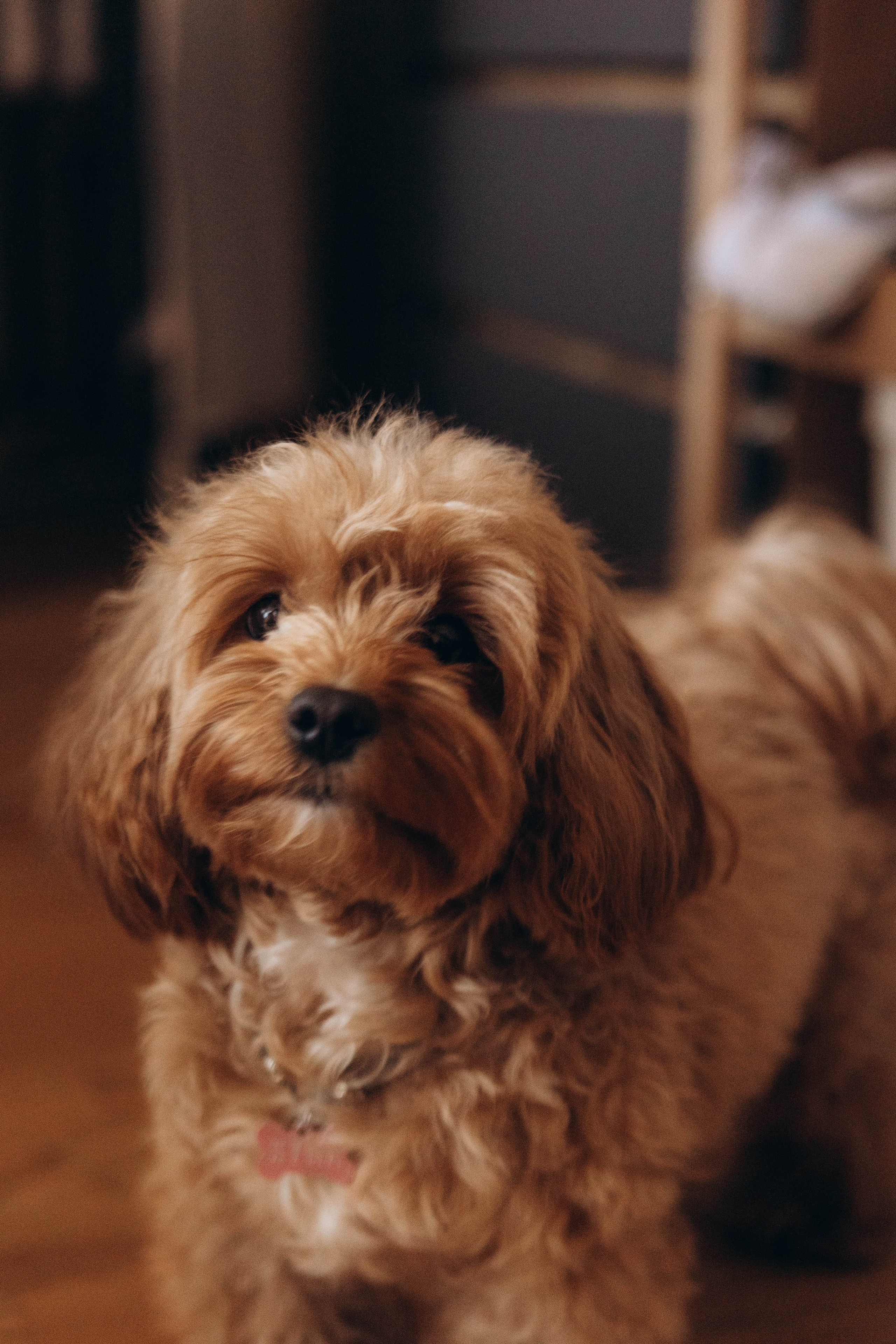 Георгий. Наталья Косьянова. Ваш фотограф. Москва