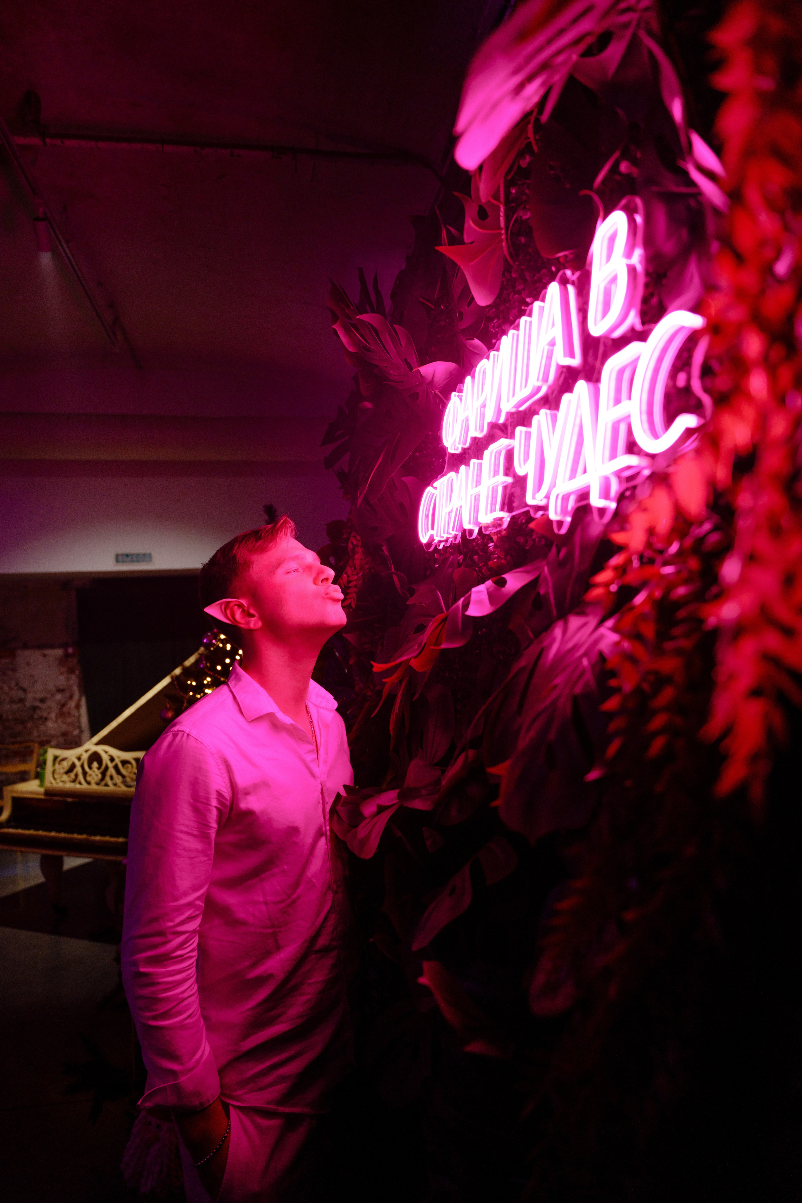 в стране чудес