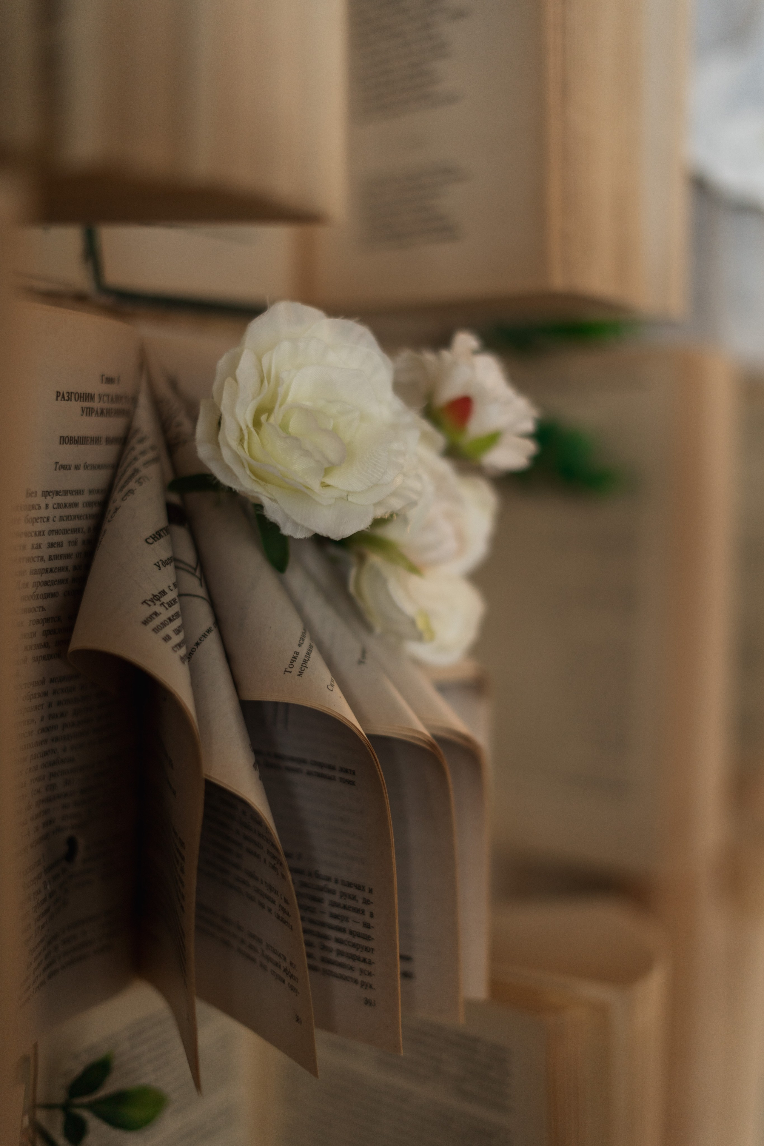 зал Дзен фотостудия «Импульс» Саратов  книжная зона