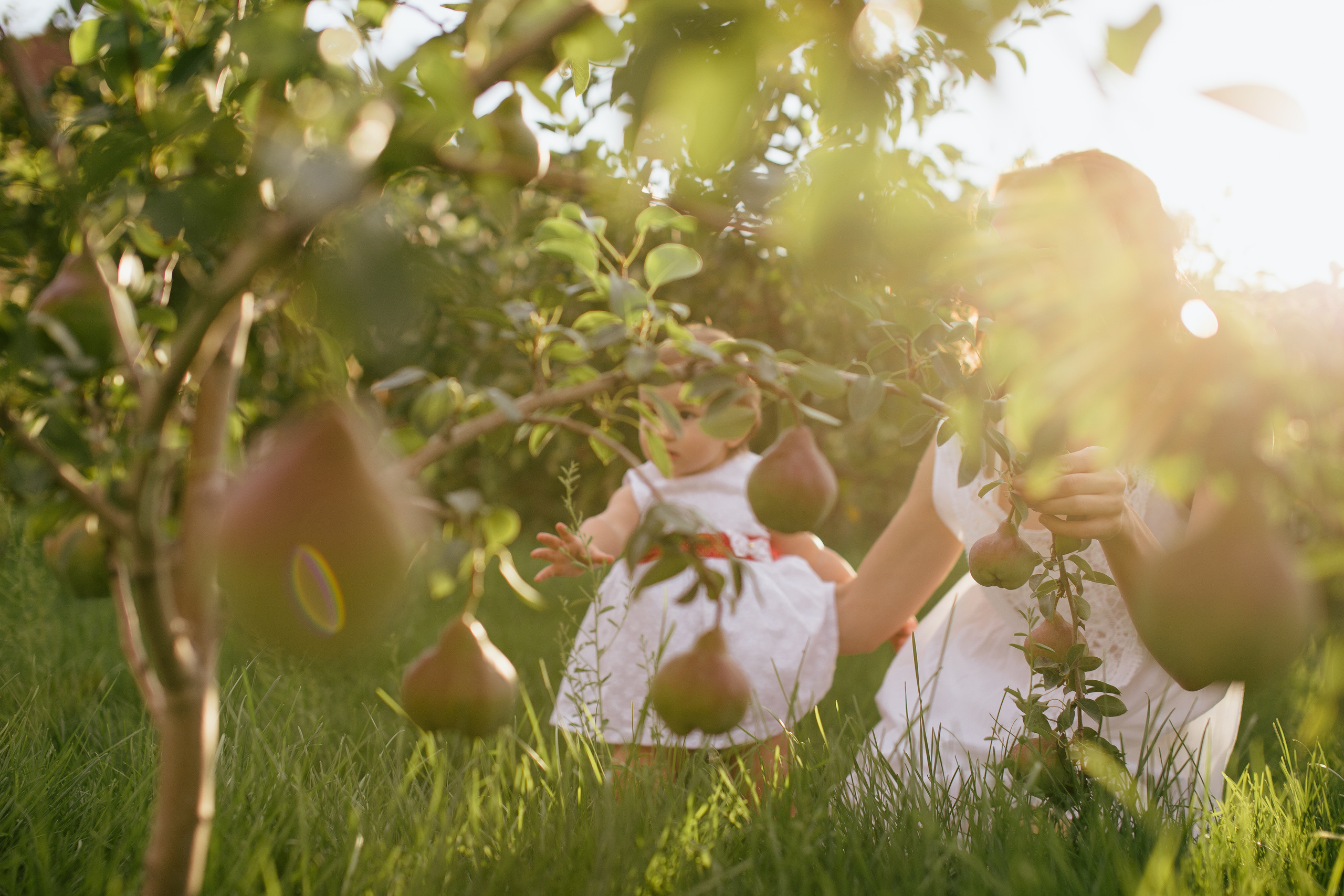 Полина и волшебные груши. Детский и семейный фотограф Наталья Шигидина