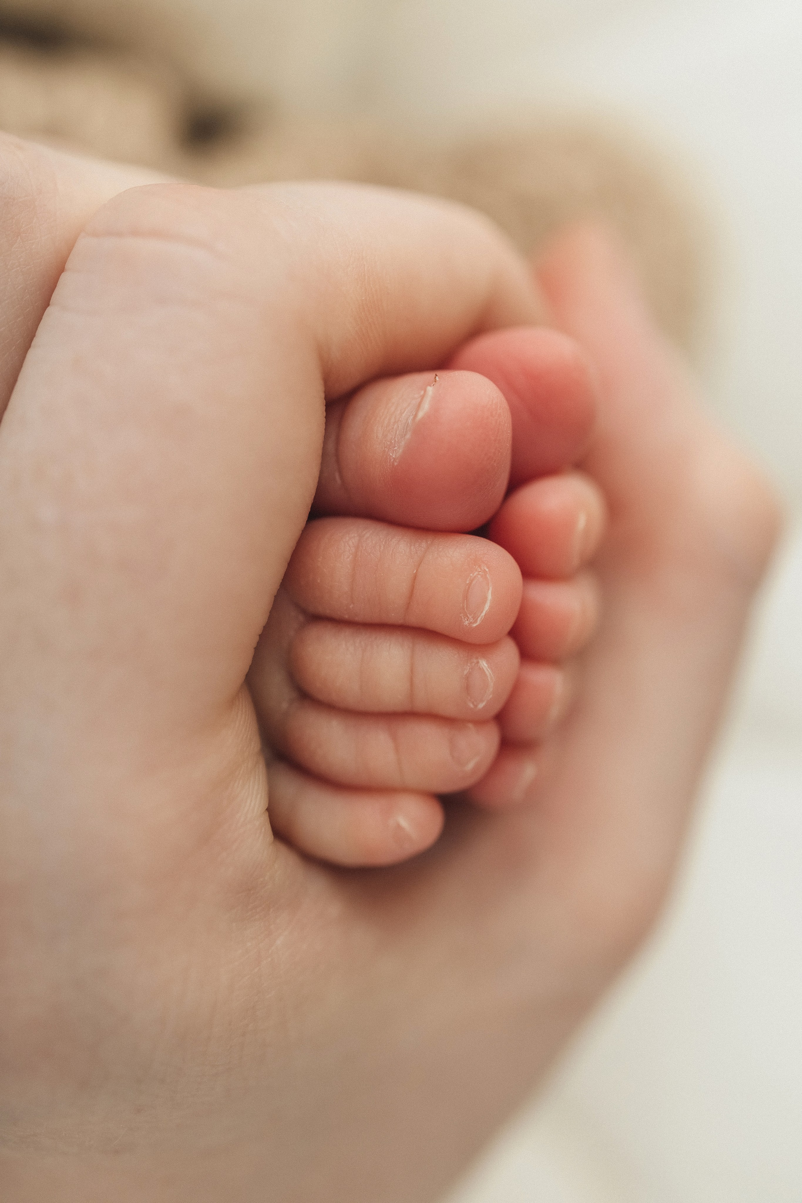 ПАКЕТ «Simple». Главная