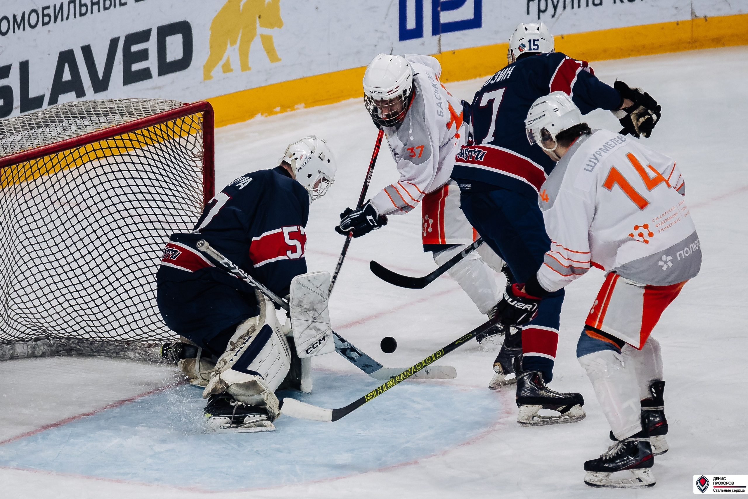 «Стальные сердца» — «СФУ» // 07-08.02.25. Денис Прохоров Фотограф в г. Магнитогорск