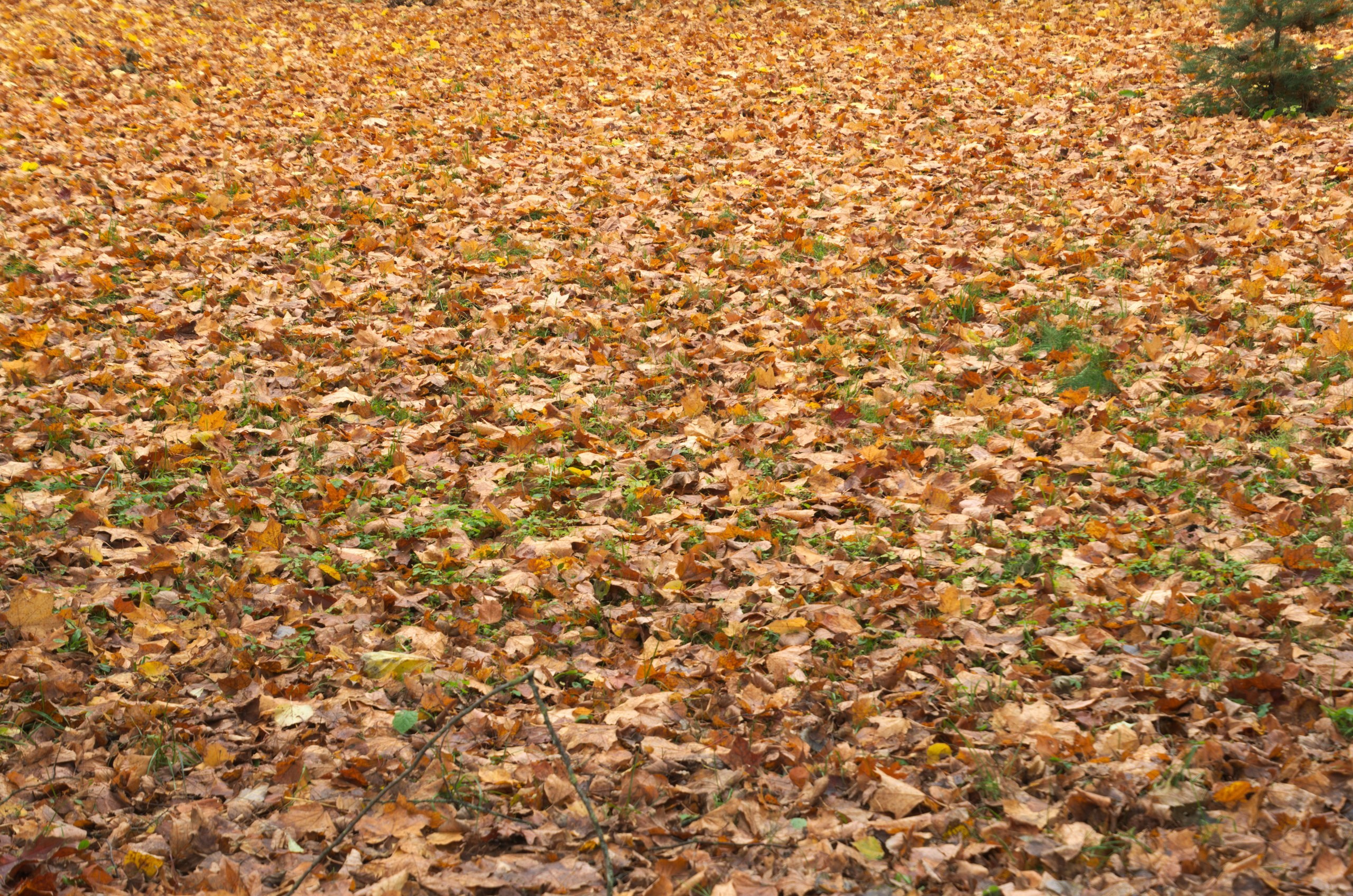 Минск | 27-29.08.2017. Галерея Фантим