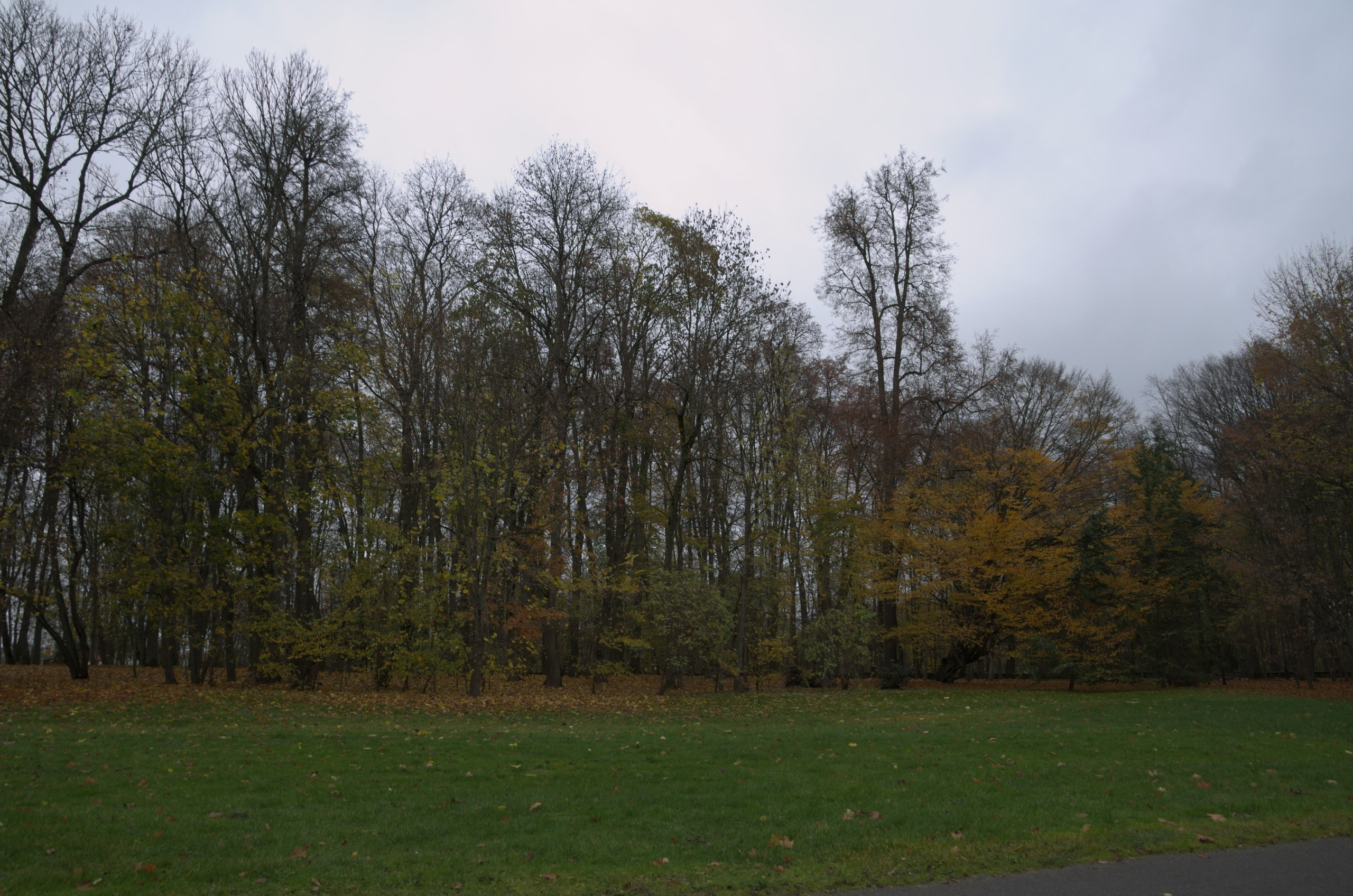 Минск | 27-29.08.2017. Галерея Фантим