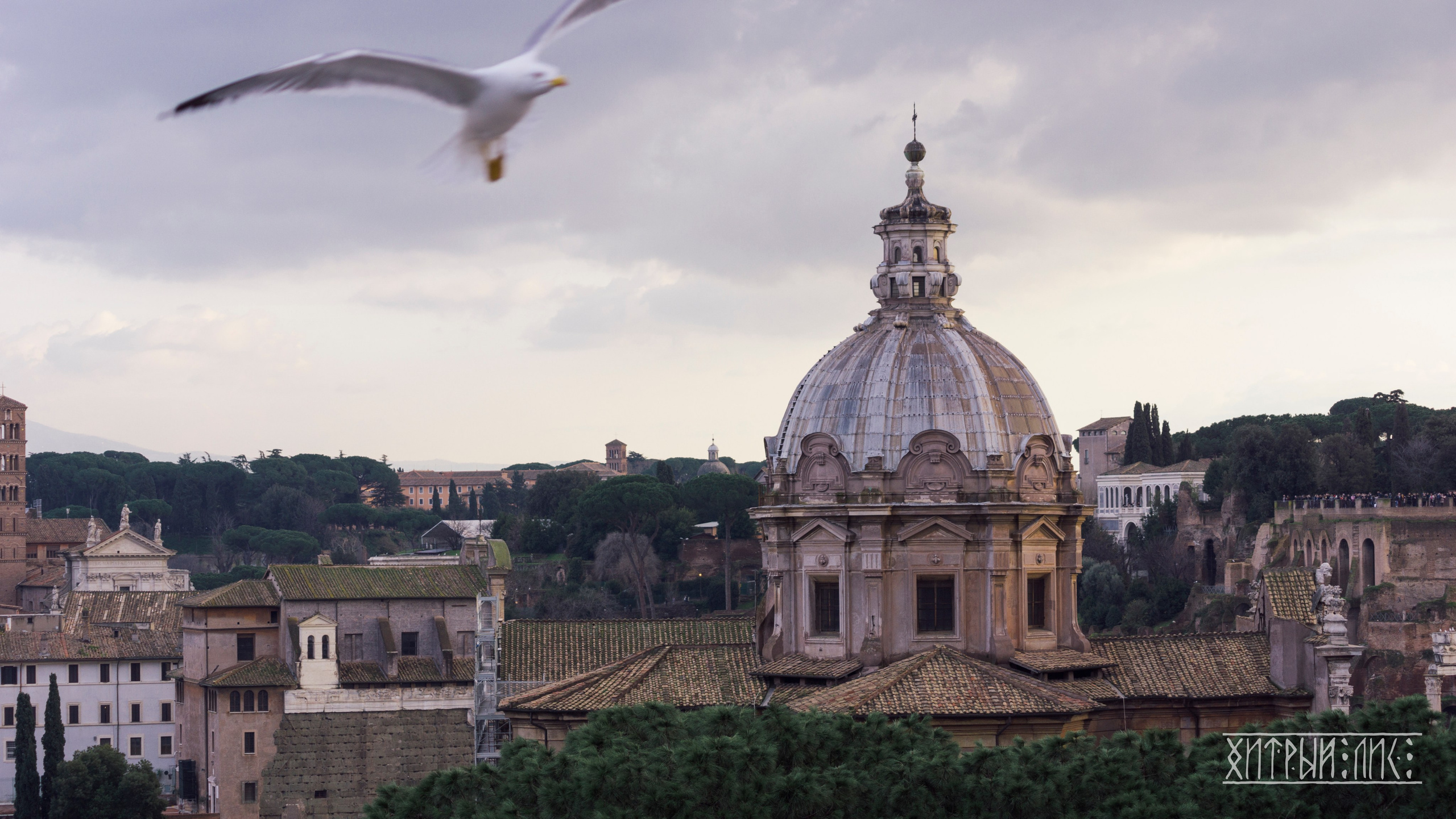 Рим. Фотограф-путешественник Самойлов Максим «Sly Fox»