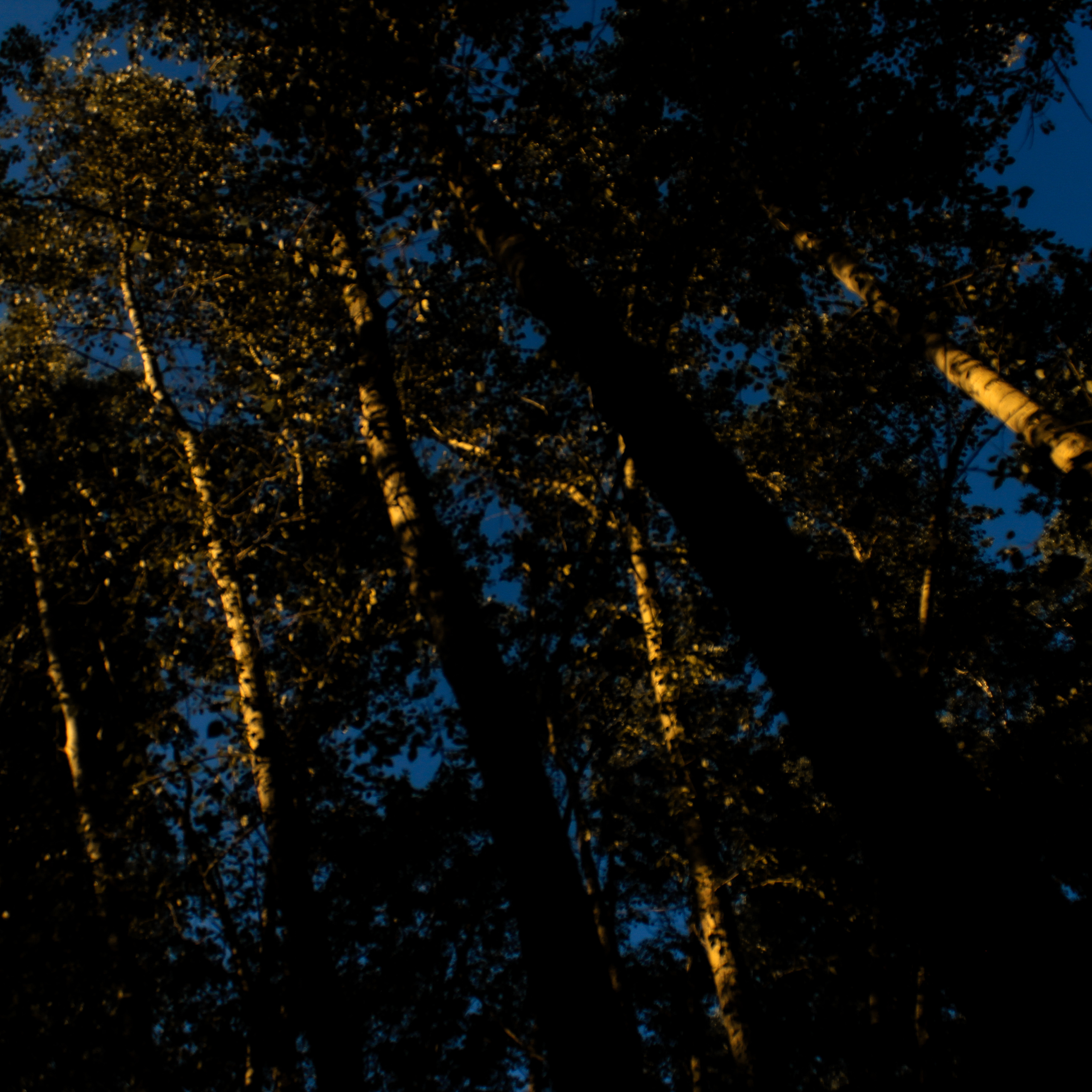 Summertime. Фотограф/дизайнер в Екатеринбурге Хитрый Дмитрий