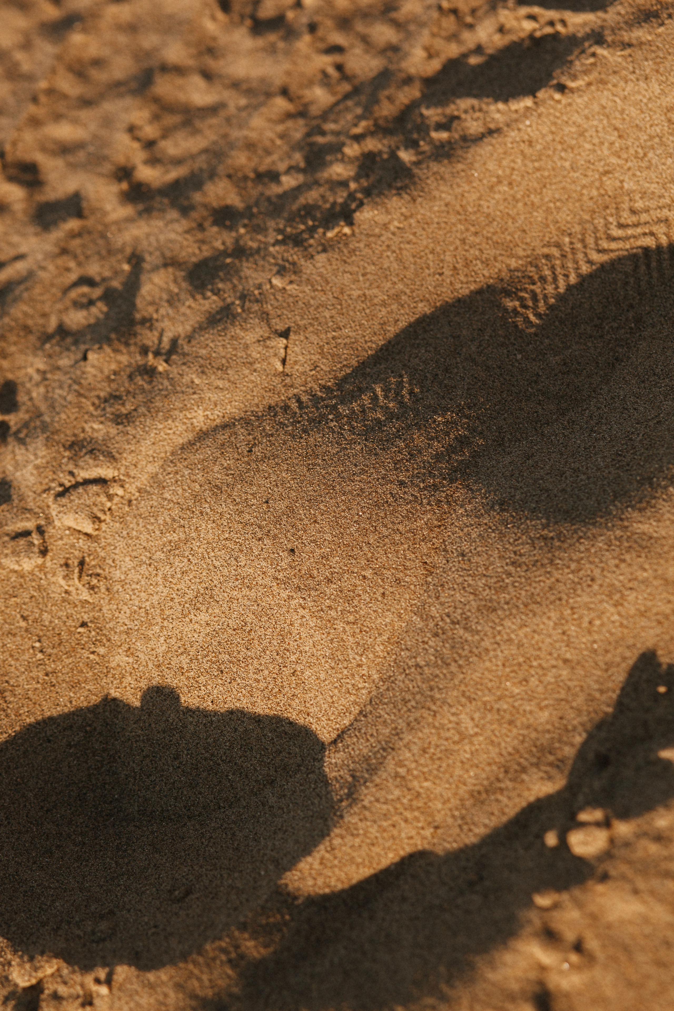 Семейная Фотосессия на Природе с Семьей Архиповых. Фотограф в Волгограде и Москве | Анастасия Лаврова