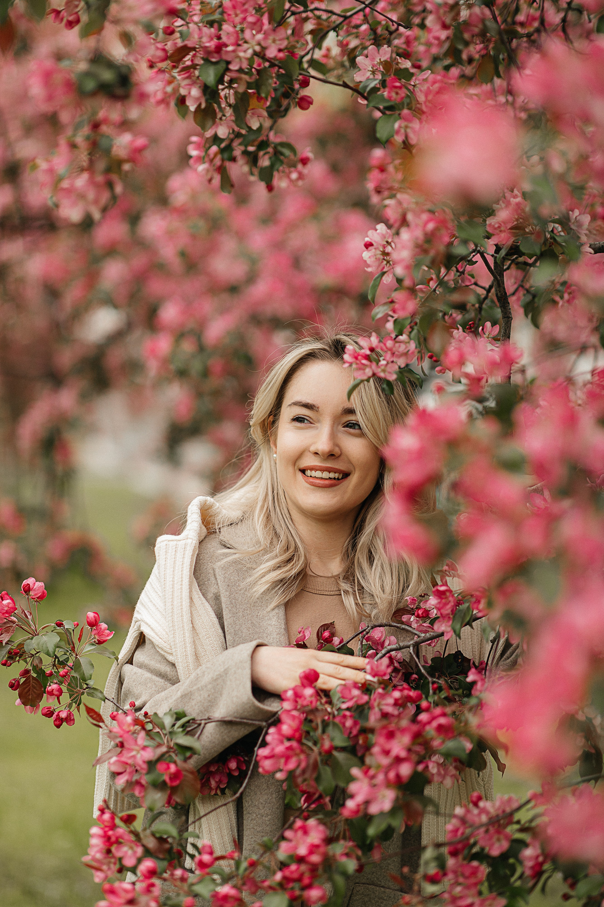 Розовые яблони. Фотограф Москва