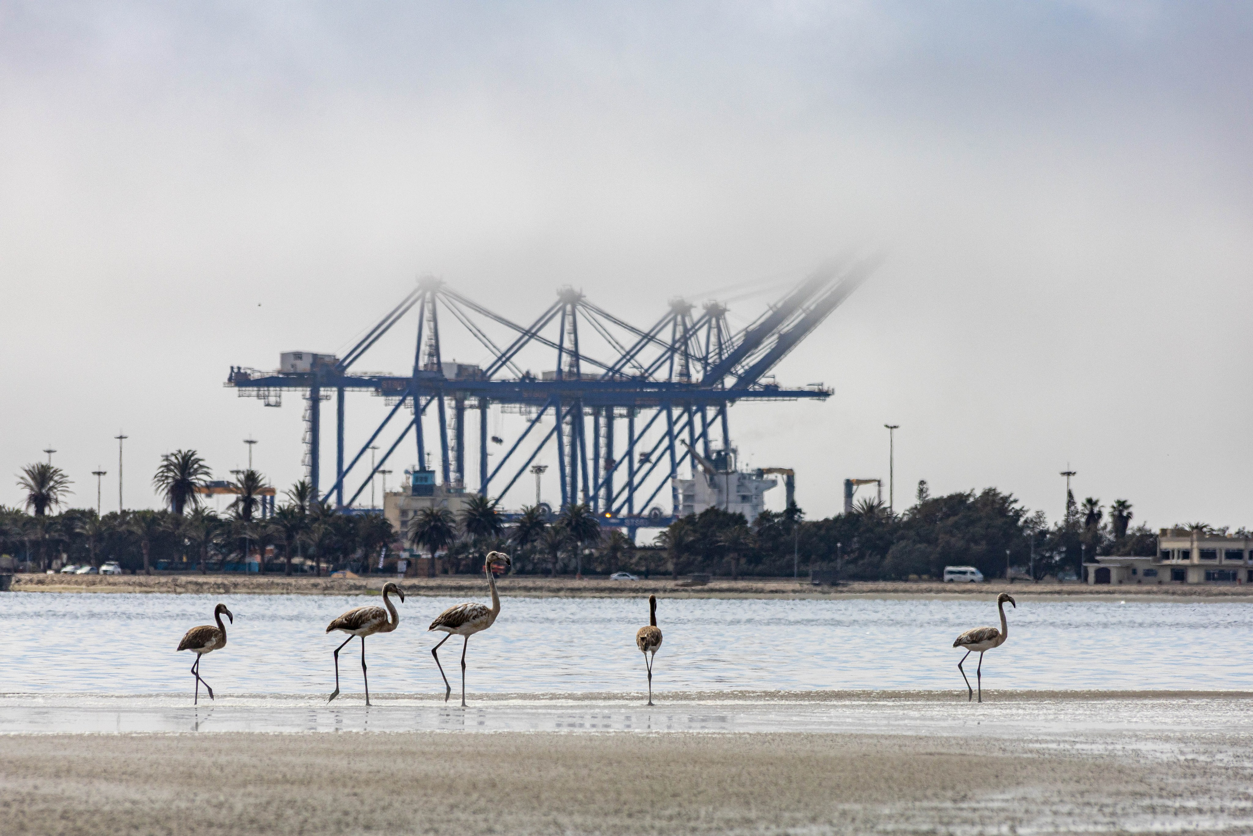 Южная Африка. B612