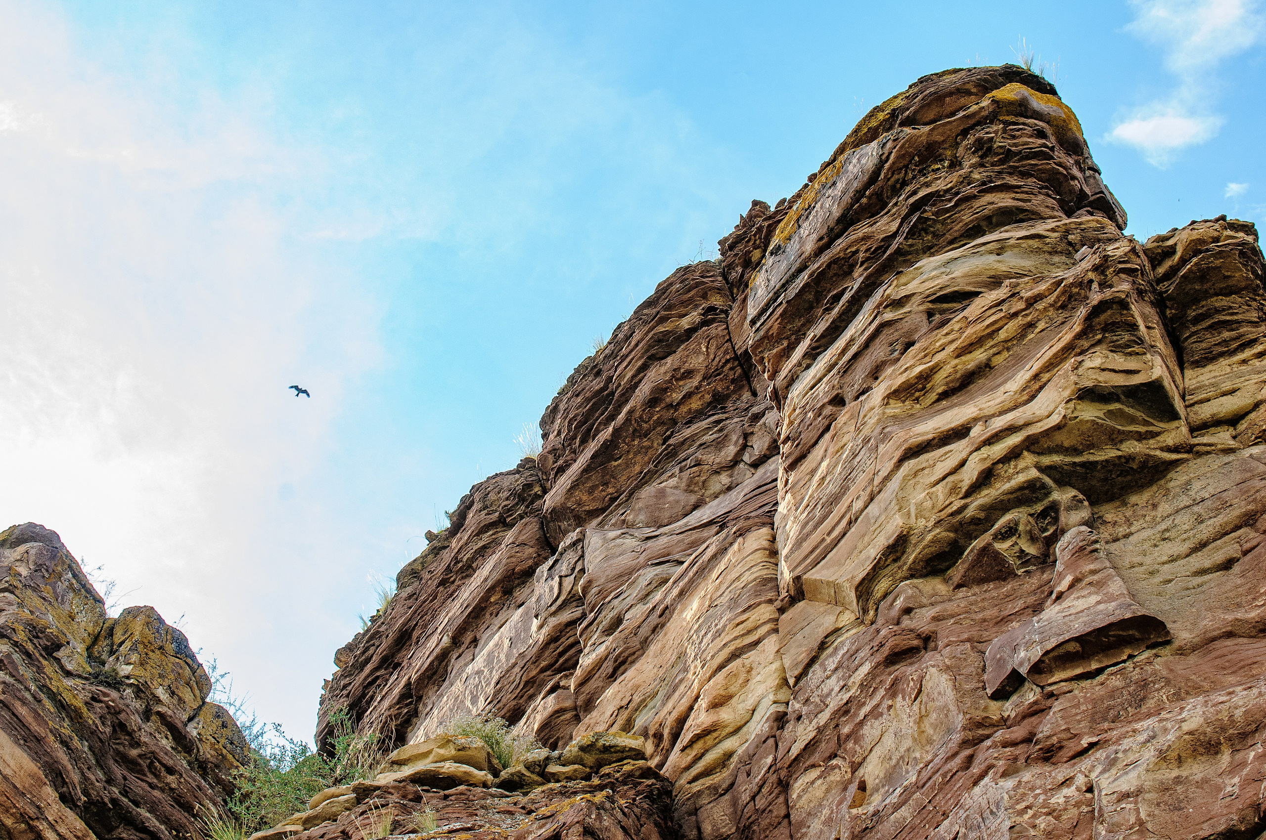 Хакасия. Сундуки. Khakassia. Chests.