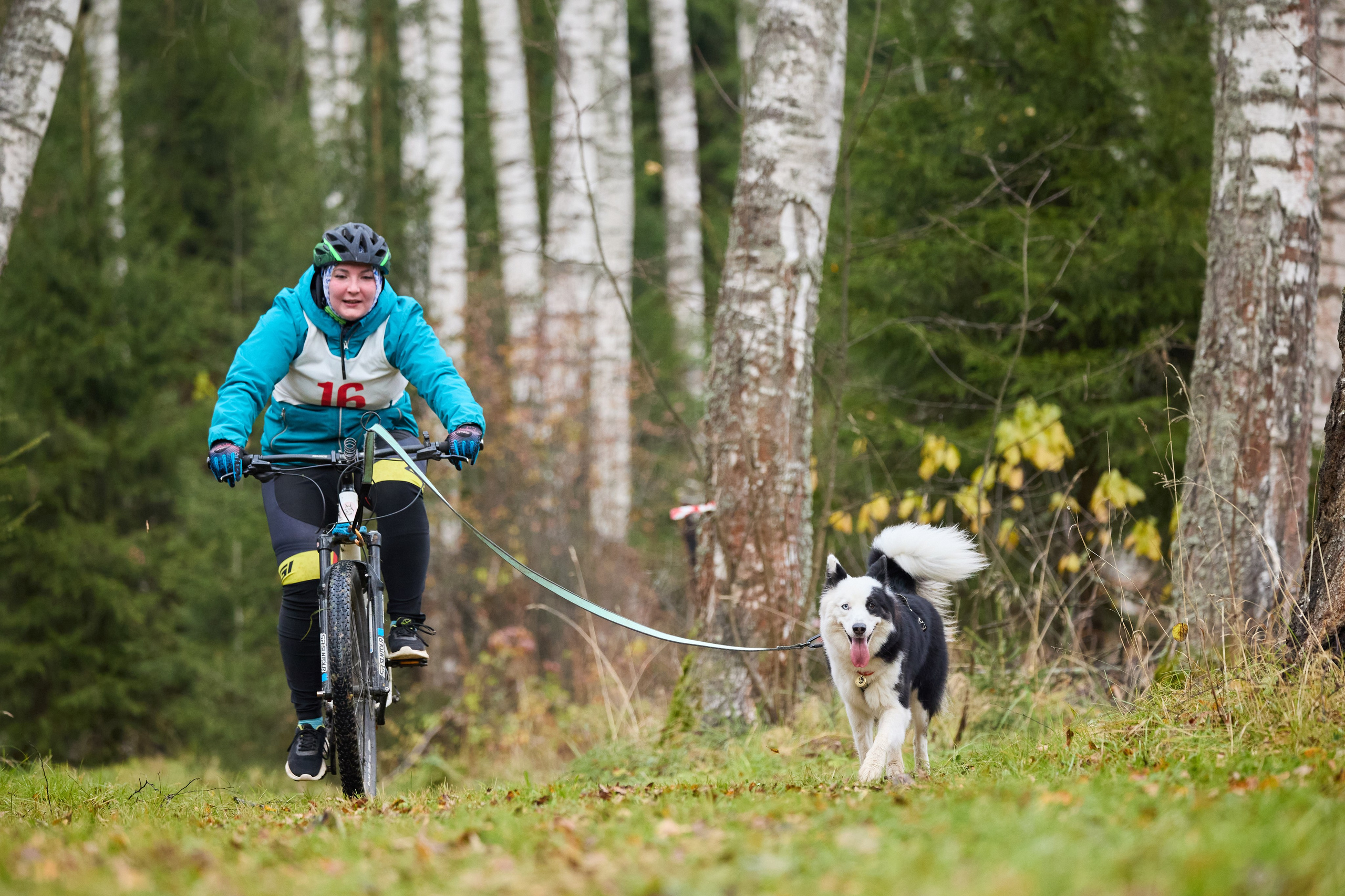 Чемпионат по ЕС Ярославской области. Фотограф Ирина Астор