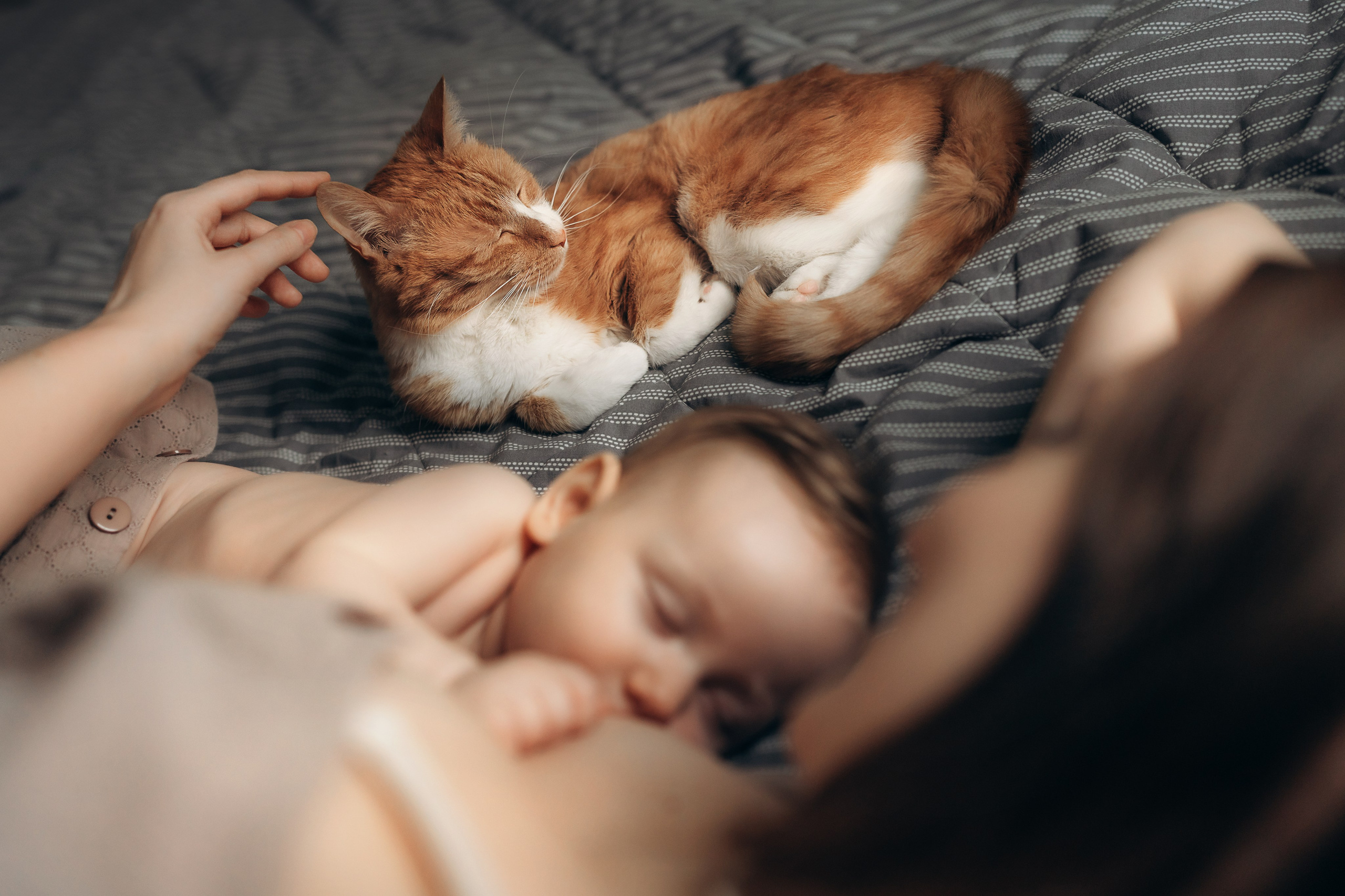 Домашняя фотосессия мамы и дочки. Детский, семейный и ньюборн фотограф в Москве Юлия Шуарт