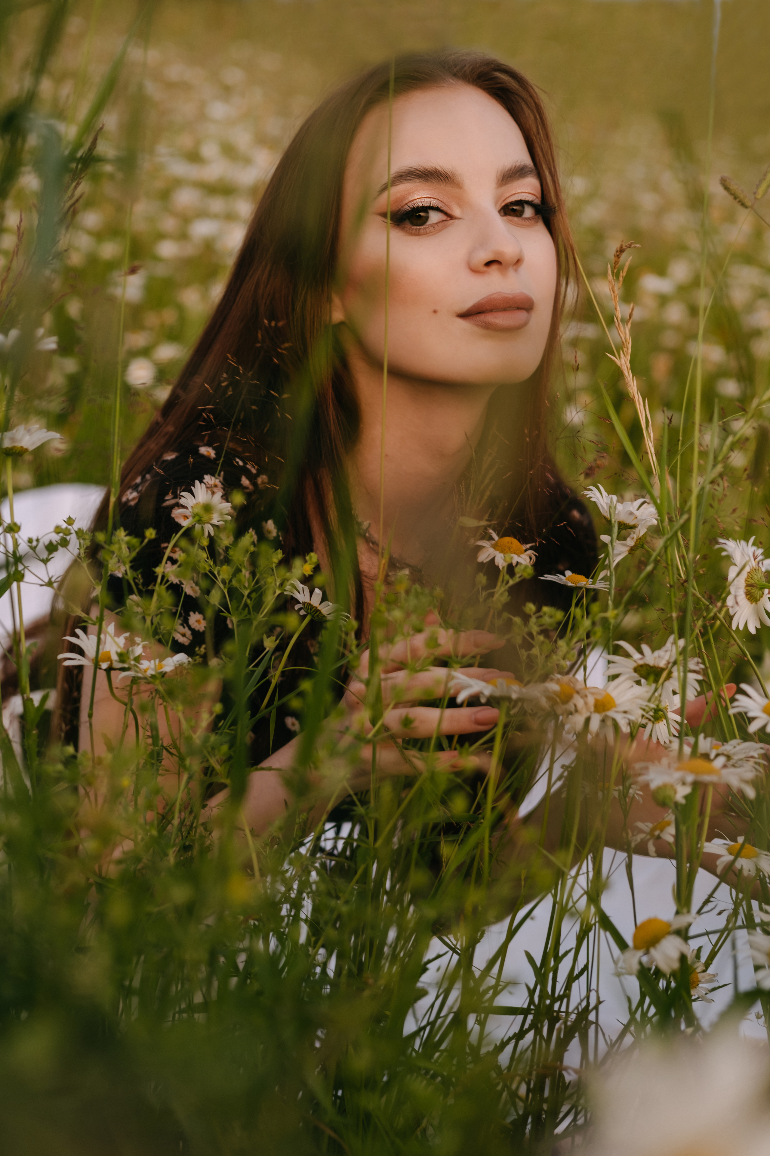 Ромашки. Фотограф Москва, Смоленск