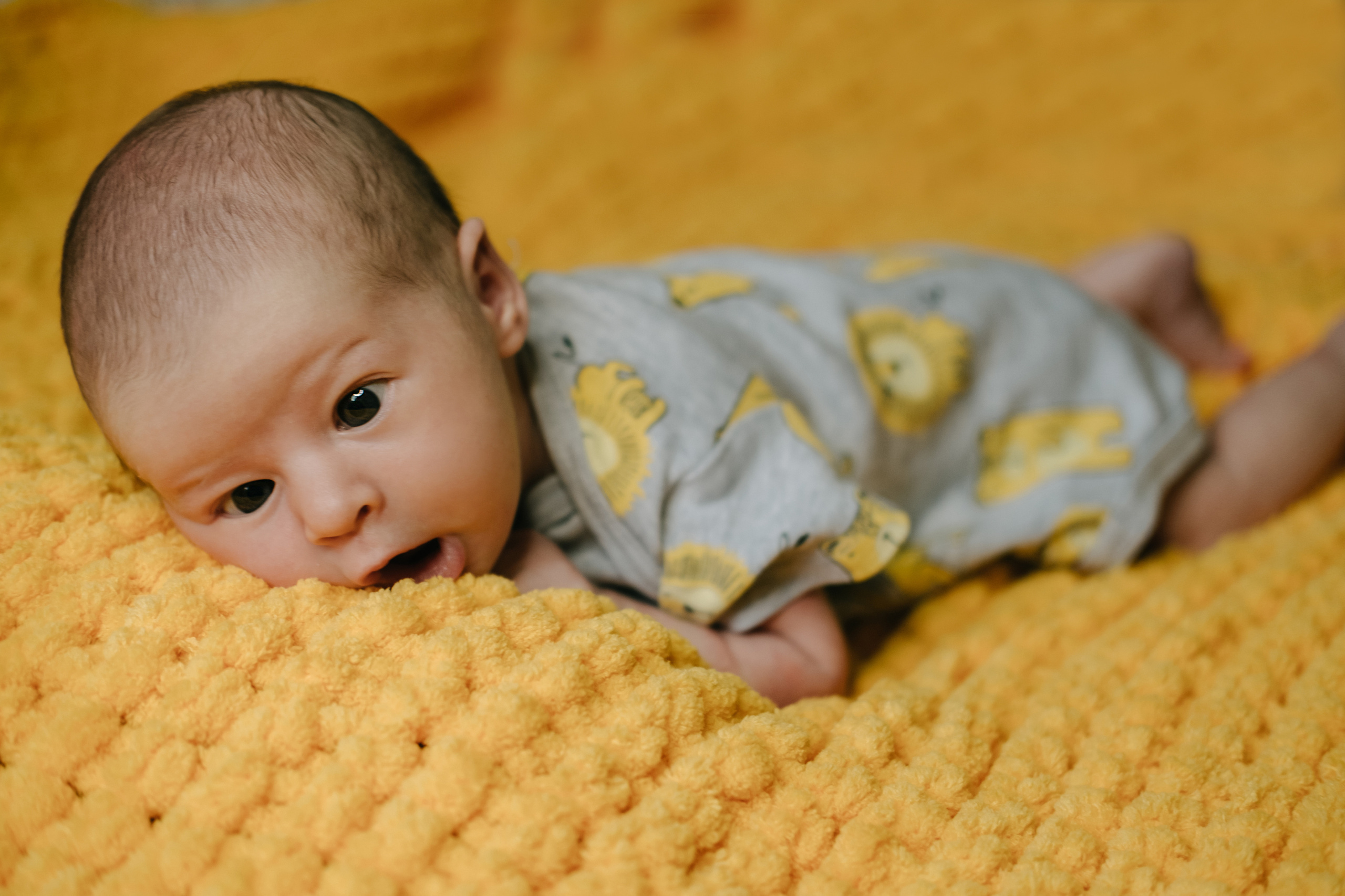 Домашний уют. Фотограф Москва, Смоленск