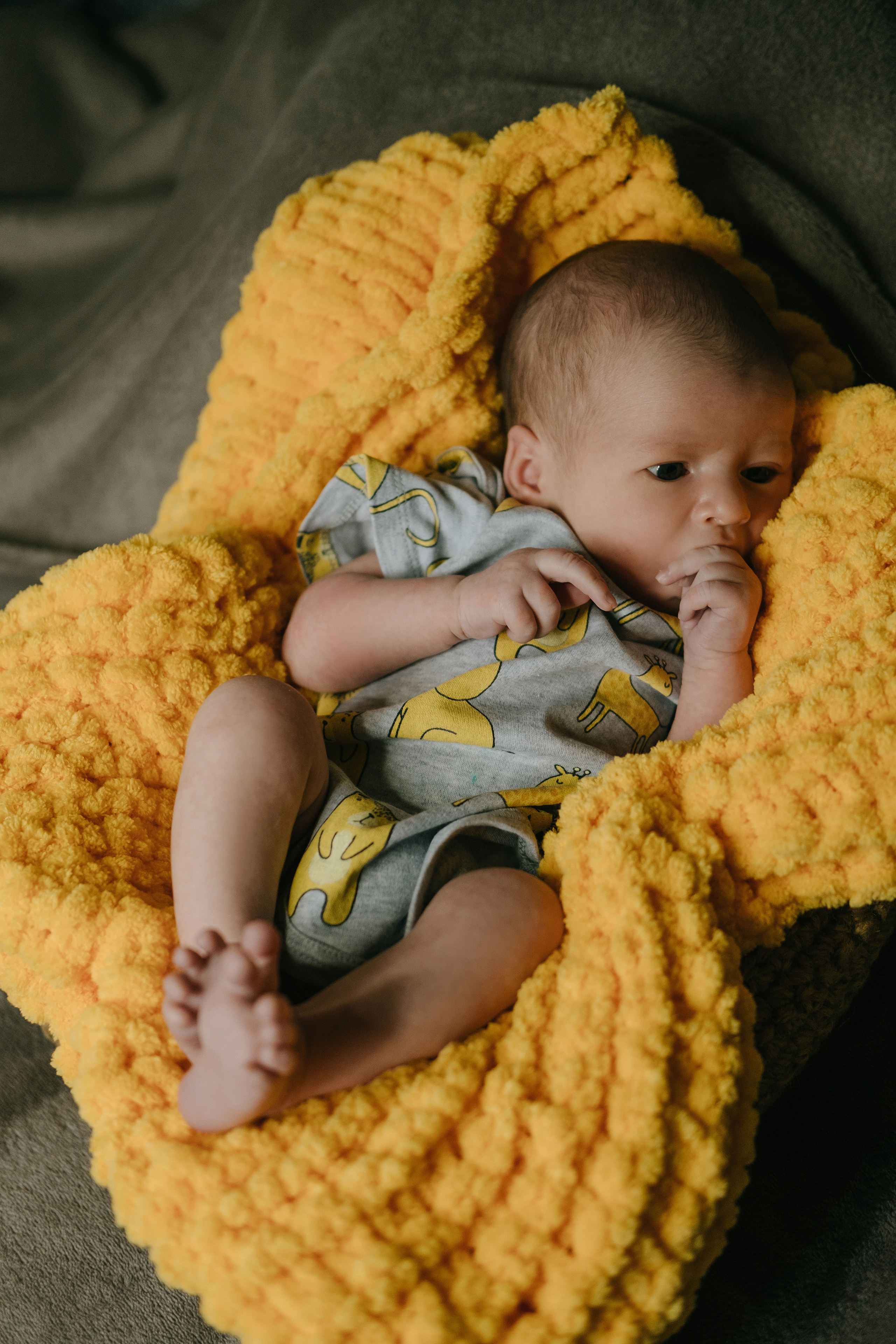 Домашний уют. Фотограф Москва, Смоленск