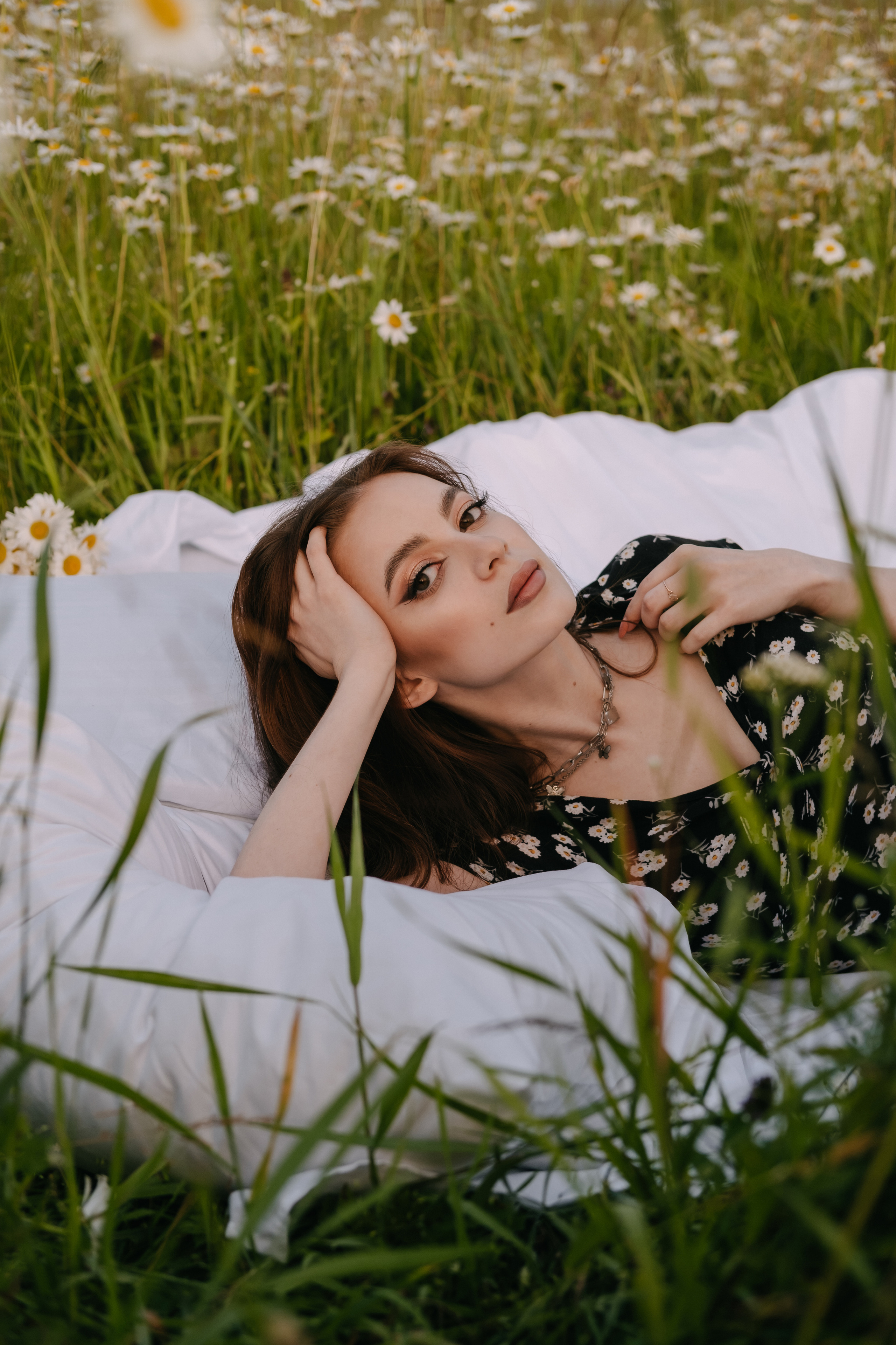 Ромашки. Фотограф Москва, Смоленск