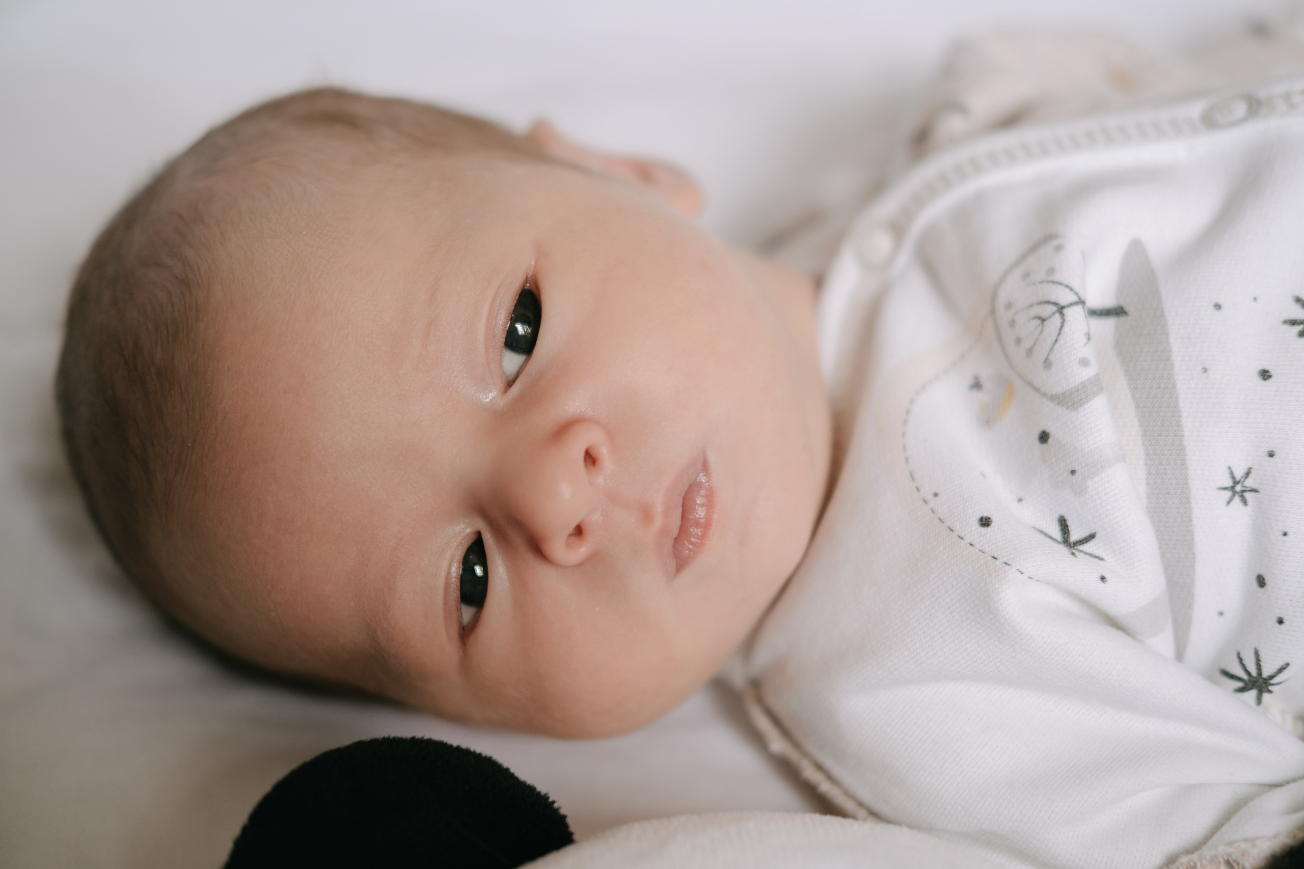 Домашний уют. Фотограф Москва, Смоленск