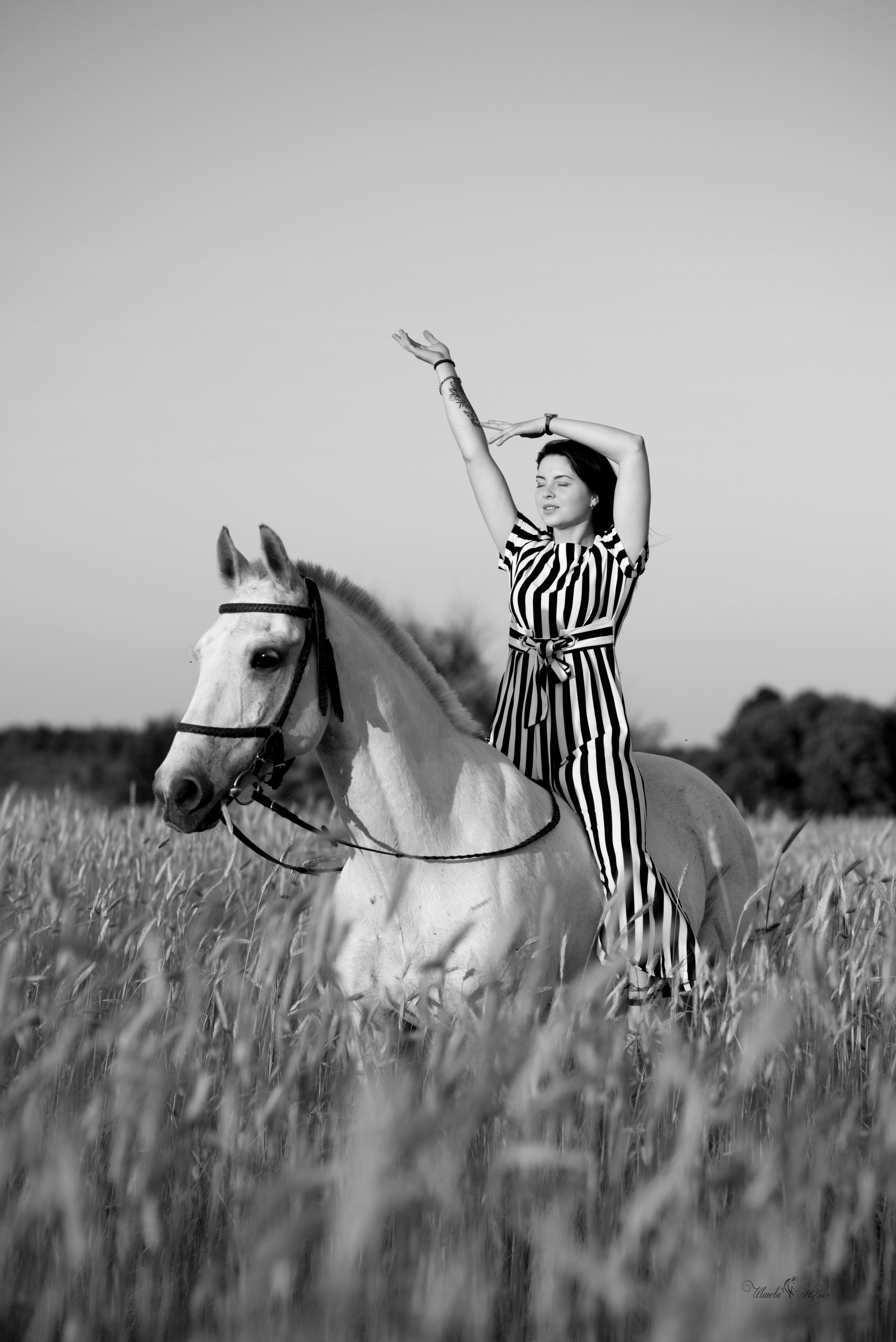 Кристина и Гипноз. Конный фотограф в Саратове Юлия Иванова