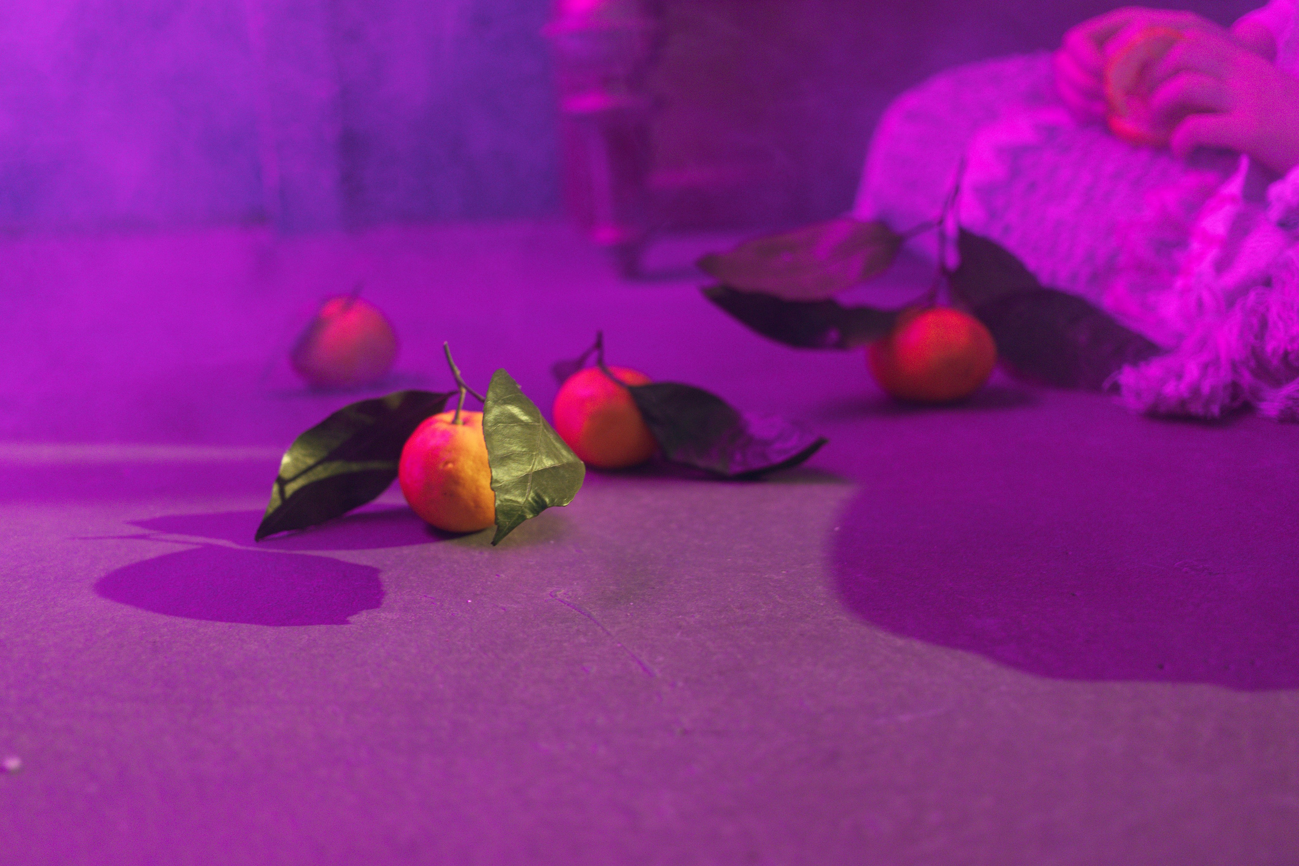 Дом, в котором…. Репортажный фотограф Анастасия Головко