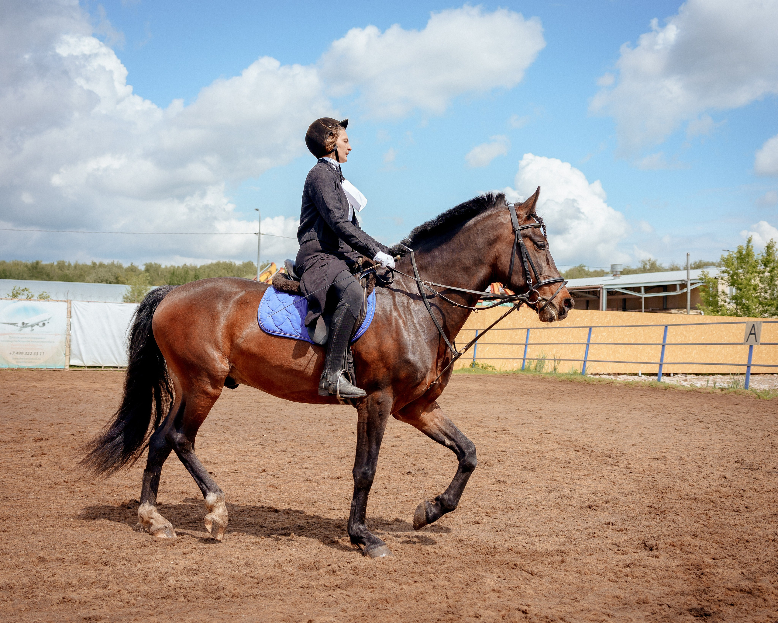 Конный клуб Горки. Портретный и семейный фотограф в Москве/Видное