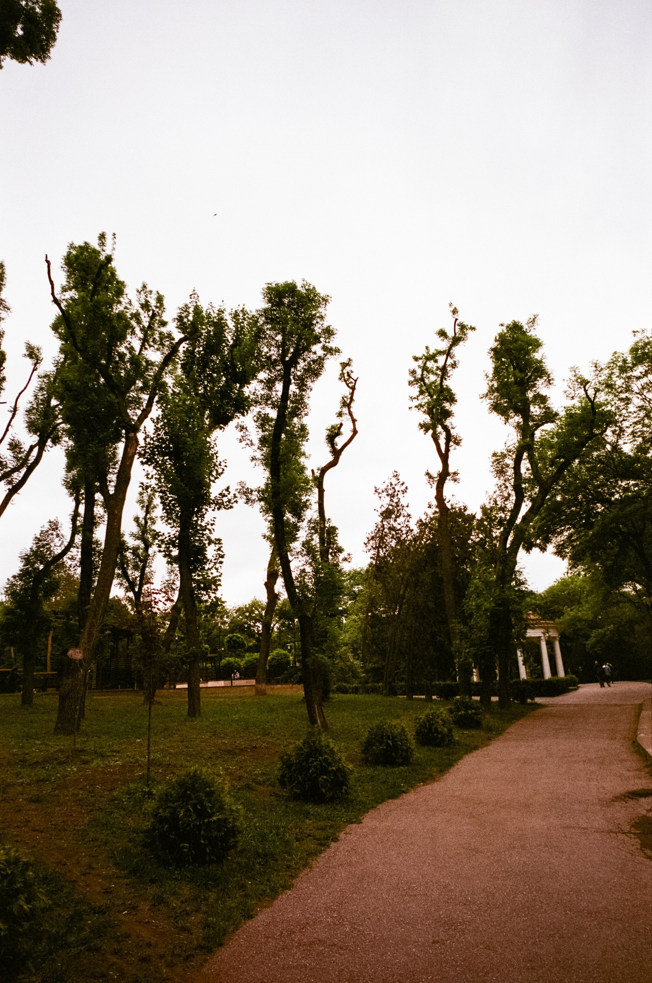 Ессентуки / Voigtlander BESSA-T / Fujifilm X-tra 400 (просрочка)