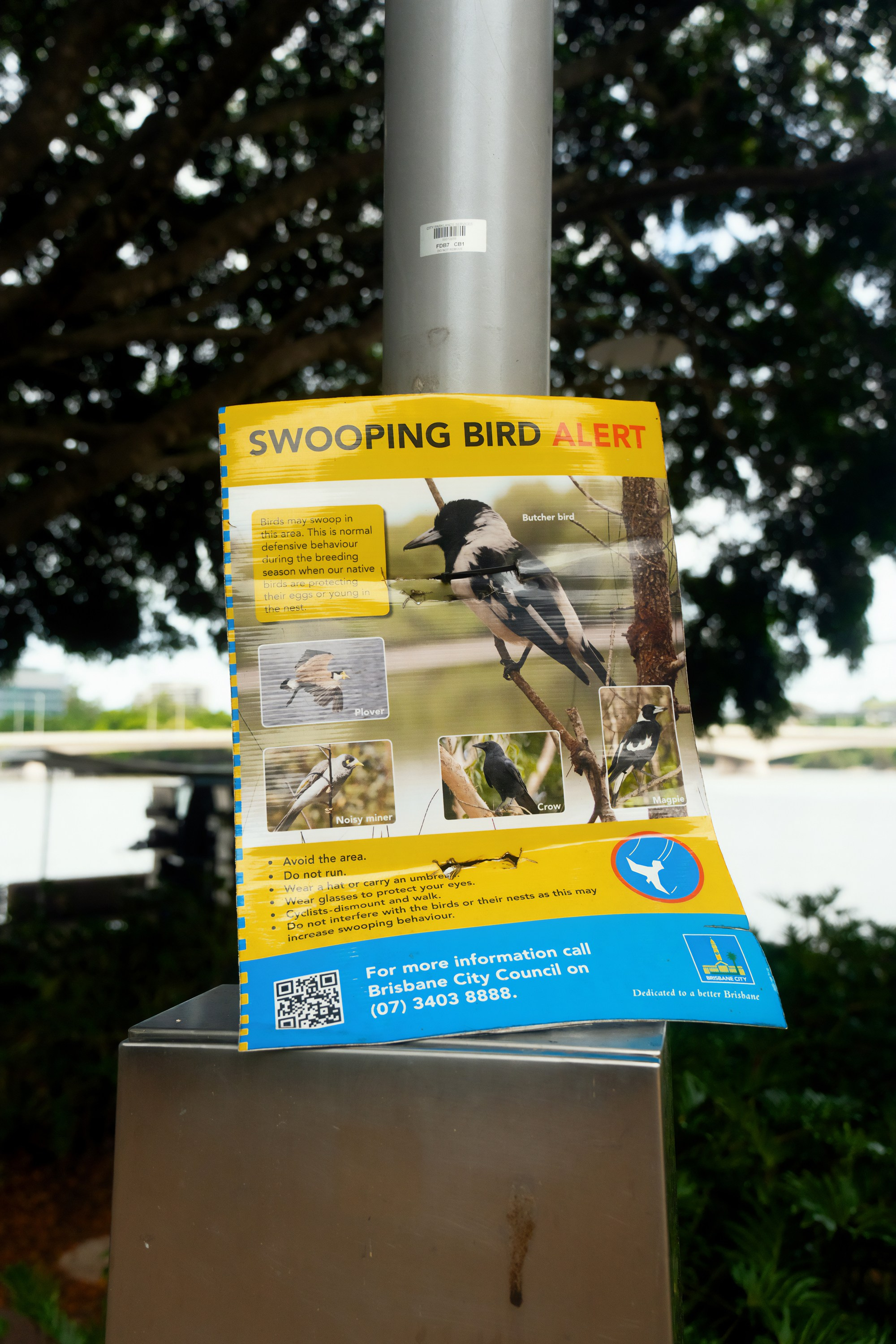 Австралия. Фотограф в Хабаровске. Фотография за 24 часа