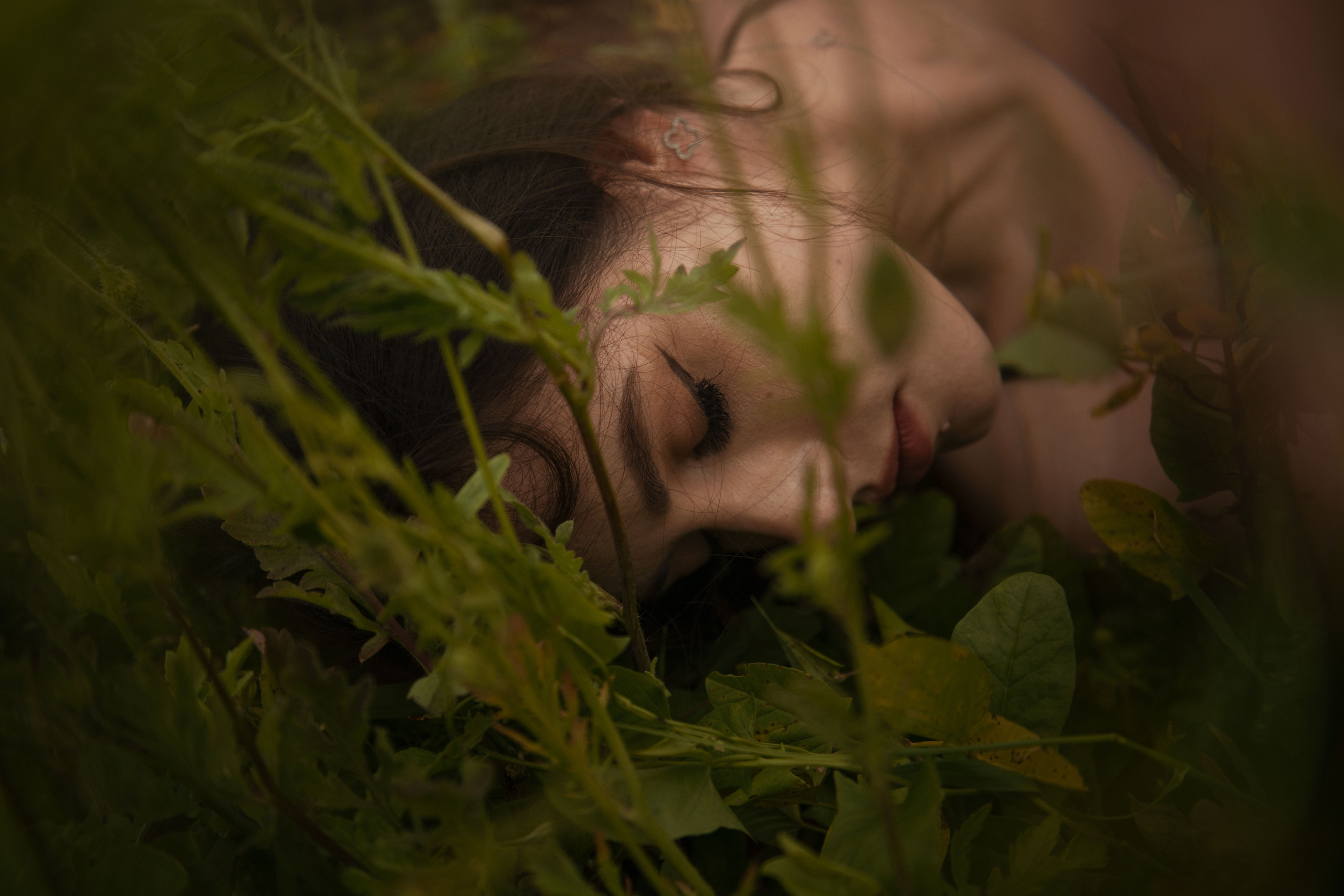 Маковое поле. Фотохудожник из города Пскова