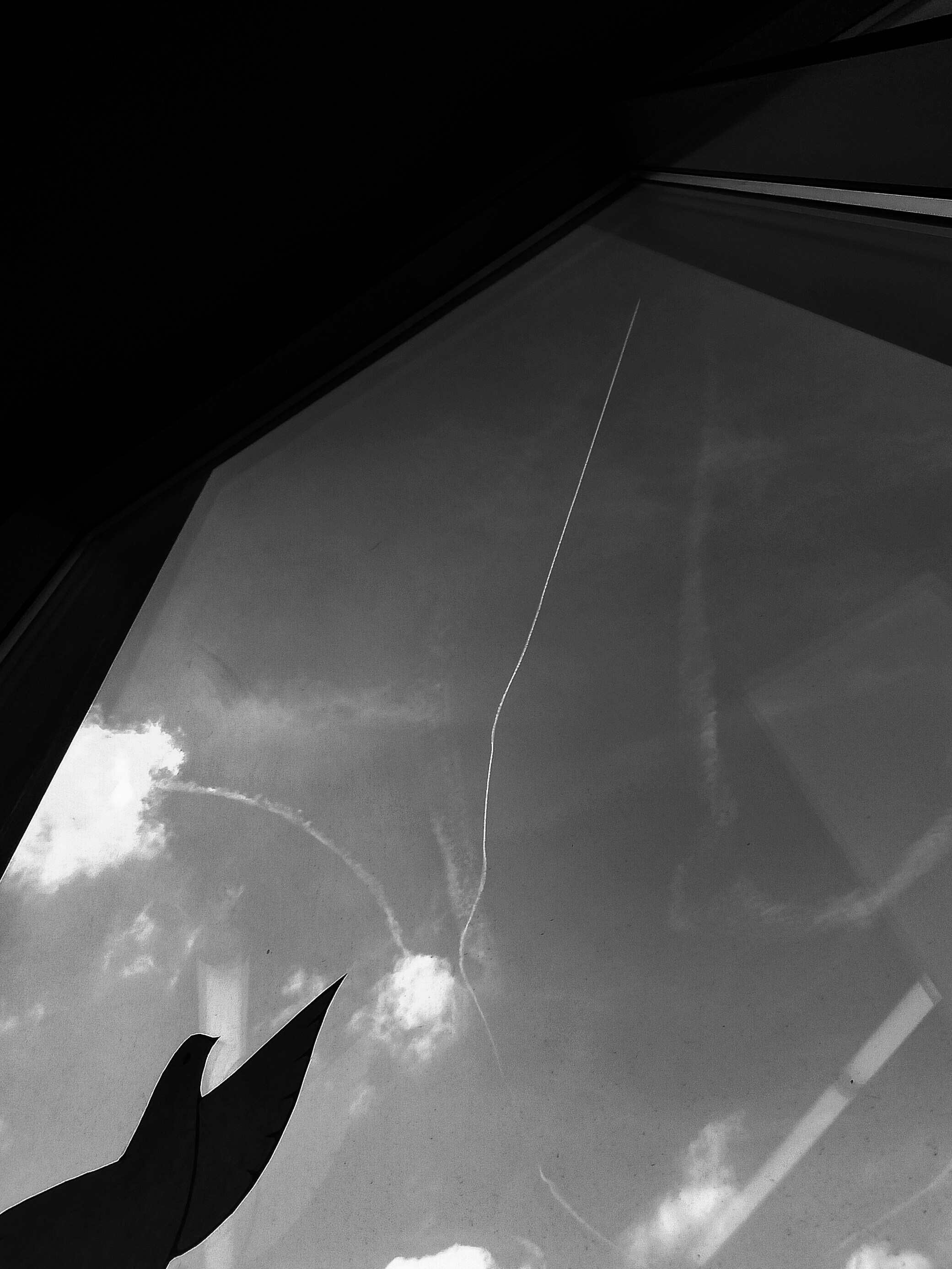 Фестиваль Трансформационных игр. Фотограф Старый Оскол Мавлыга Мария