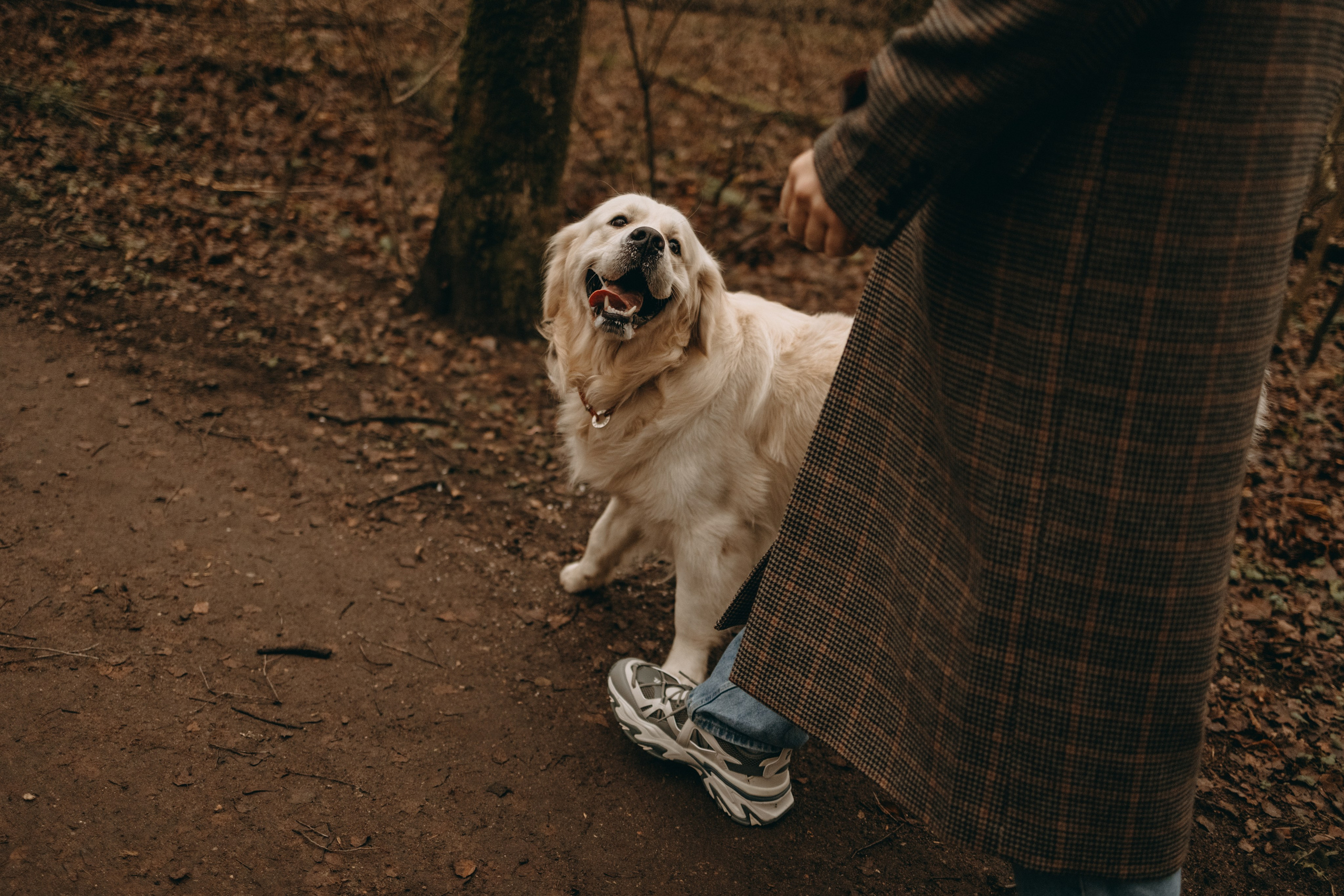 Лаки и его семья. Фотограф — Анималист | Санкт-Петербург