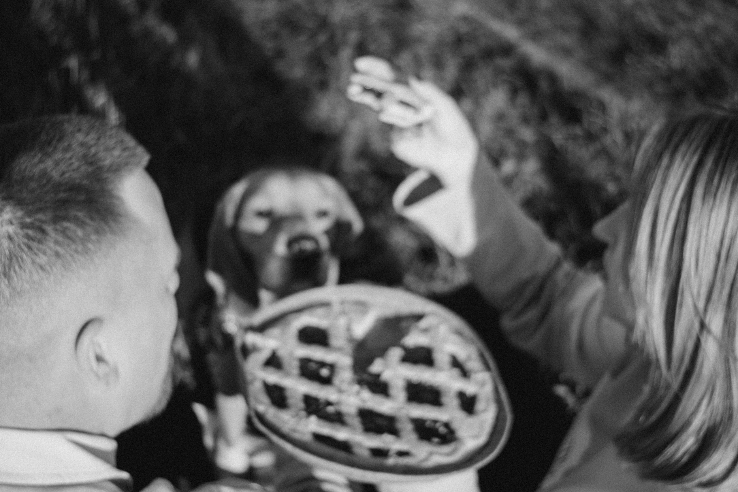 Оуджи и его семья. Фотограф — Анималист | Санкт-Петербург