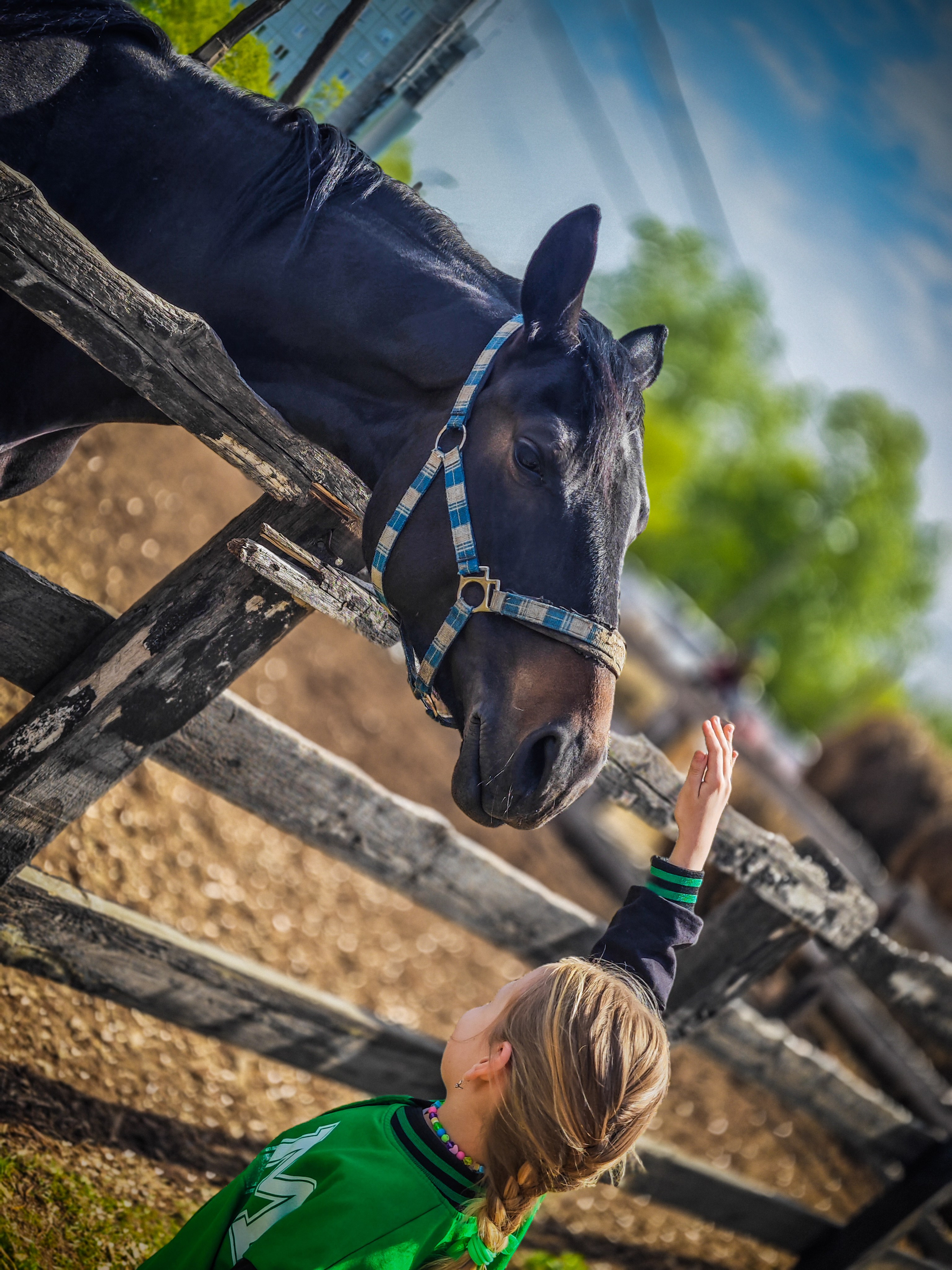 Красноярский ипподром. Открытие сезона 2025. Игорь Урывский. Фотограф Красноярск