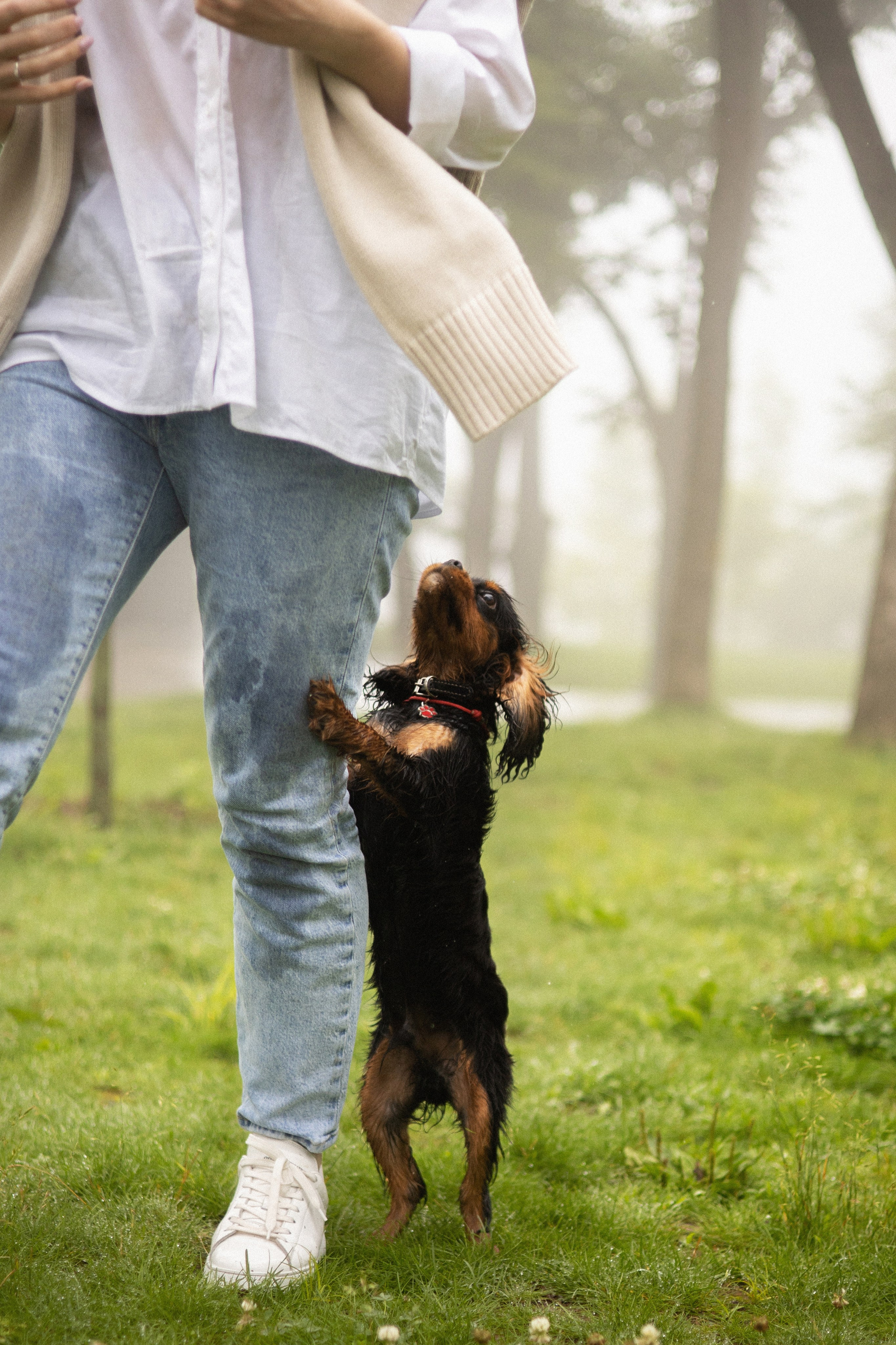 Алёна и Каспер. Фотограф — анималист Владивосток, Алина