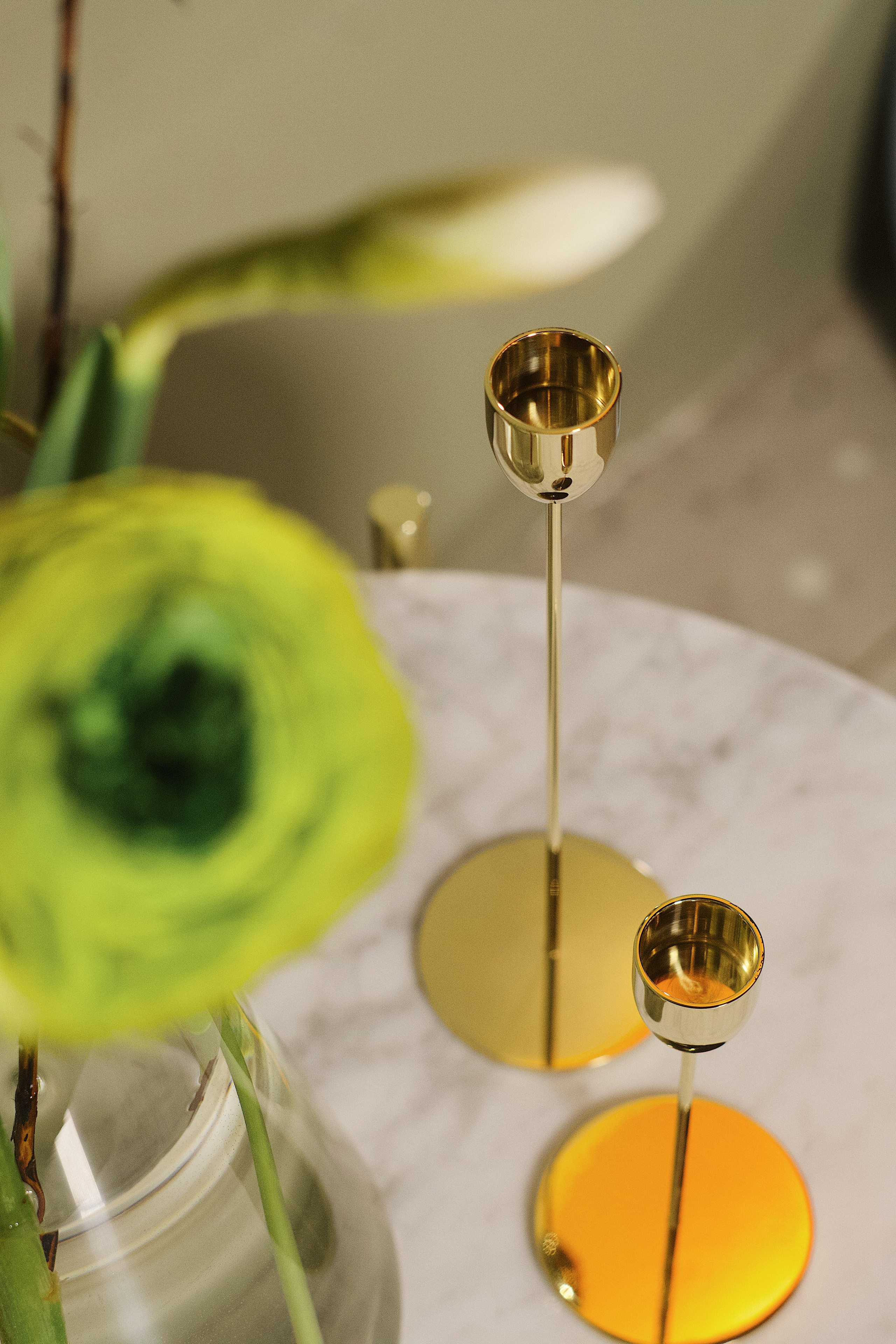 Almond. Photokoval.ru