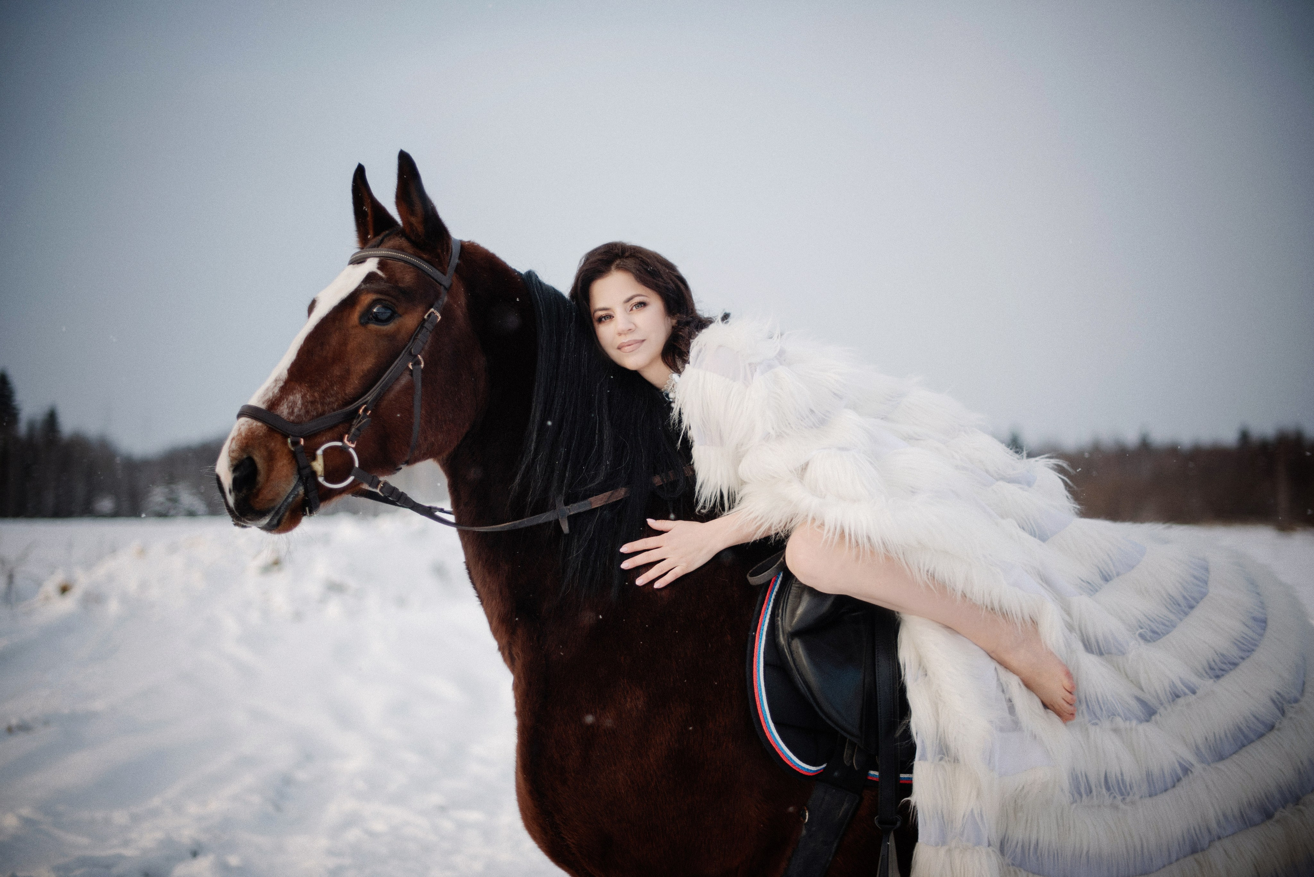 Фото СИМВОЛ ГОДА 2026 от Натальи. ФОТОПРОЕКТЫ