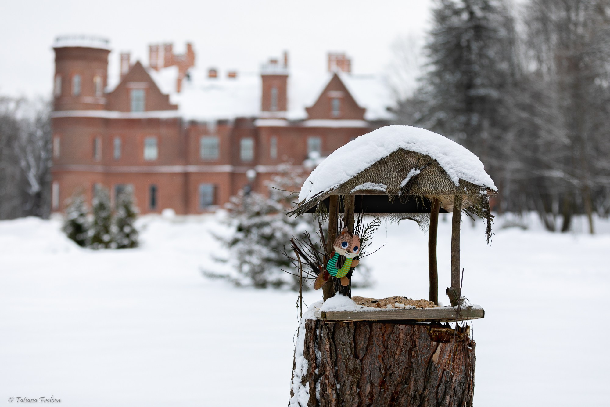 Фотосъемка похода с собаками в Московской области. Фотограф-анималист в Москве и Московской области Татьяна Фролова