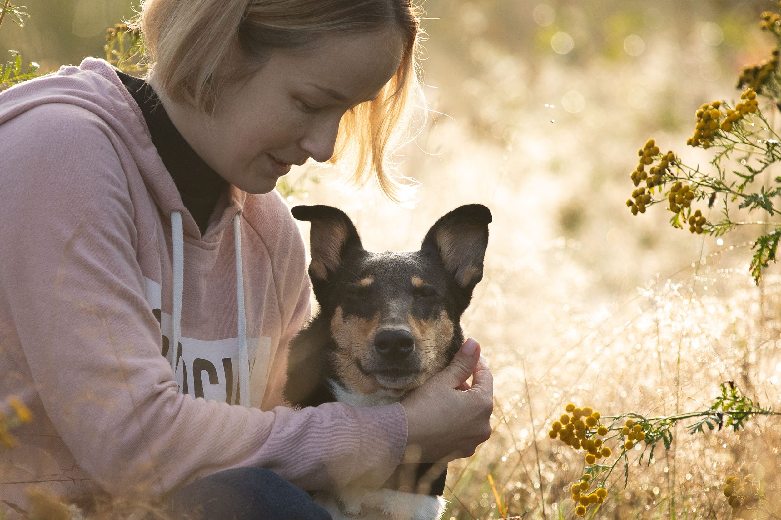 Наташа и короткошерстные колли. Фотограф-анималист в Москве и Московской области Татьяна Фролова