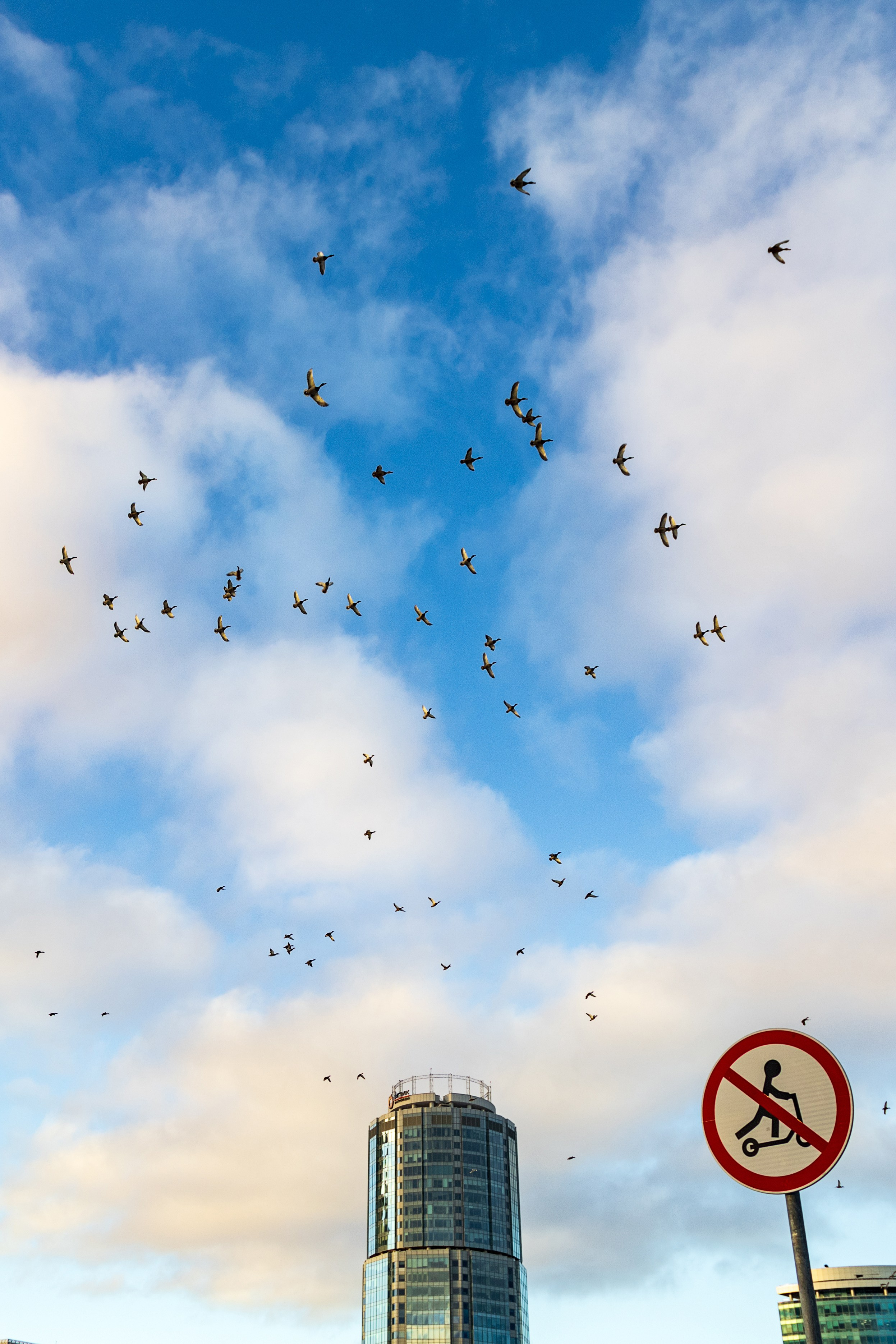 Европа-Азия | Зимний полумарафон. Репортажный фотограф Екатеринбург | Яркий, качественный репортаж | Концерты, клубы, репортаж, праздники, корпоративы