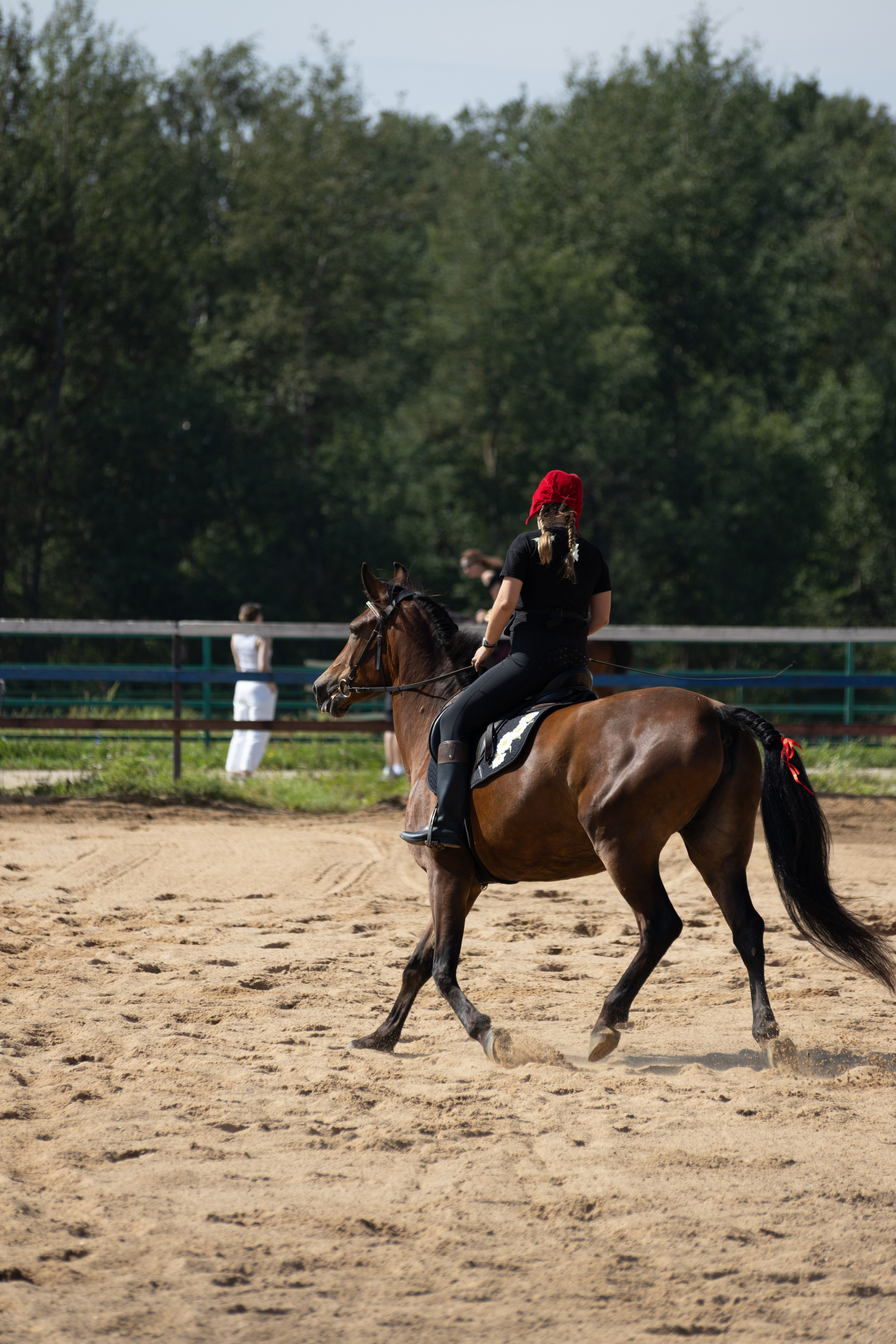 Конюшня. Фотограф в Москве и Истре