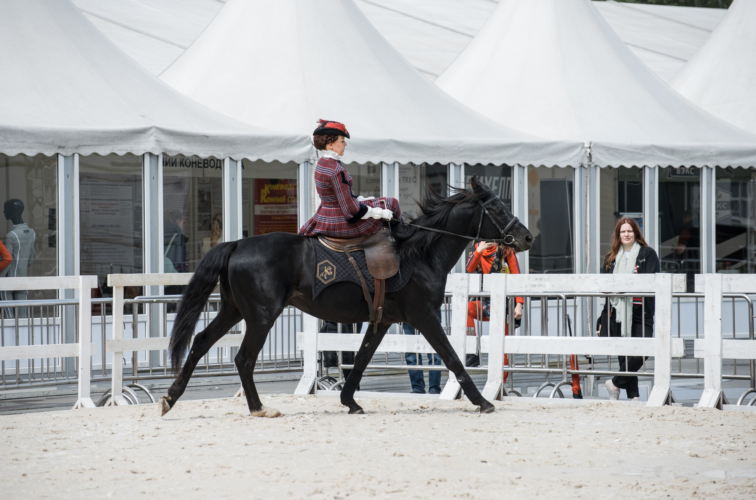 Эквирос, Москва. Конный фотограф в Саратове Юлия Иванова