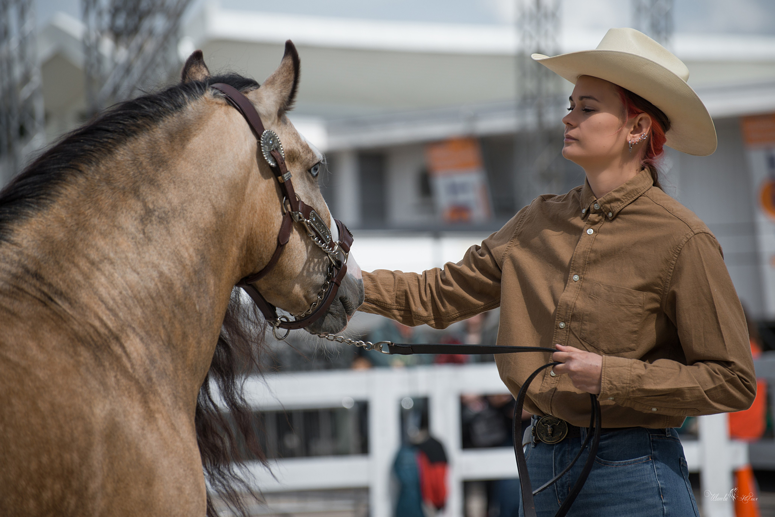 Эквирос, Москва. Конный фотограф в Саратове Юлия Иванова