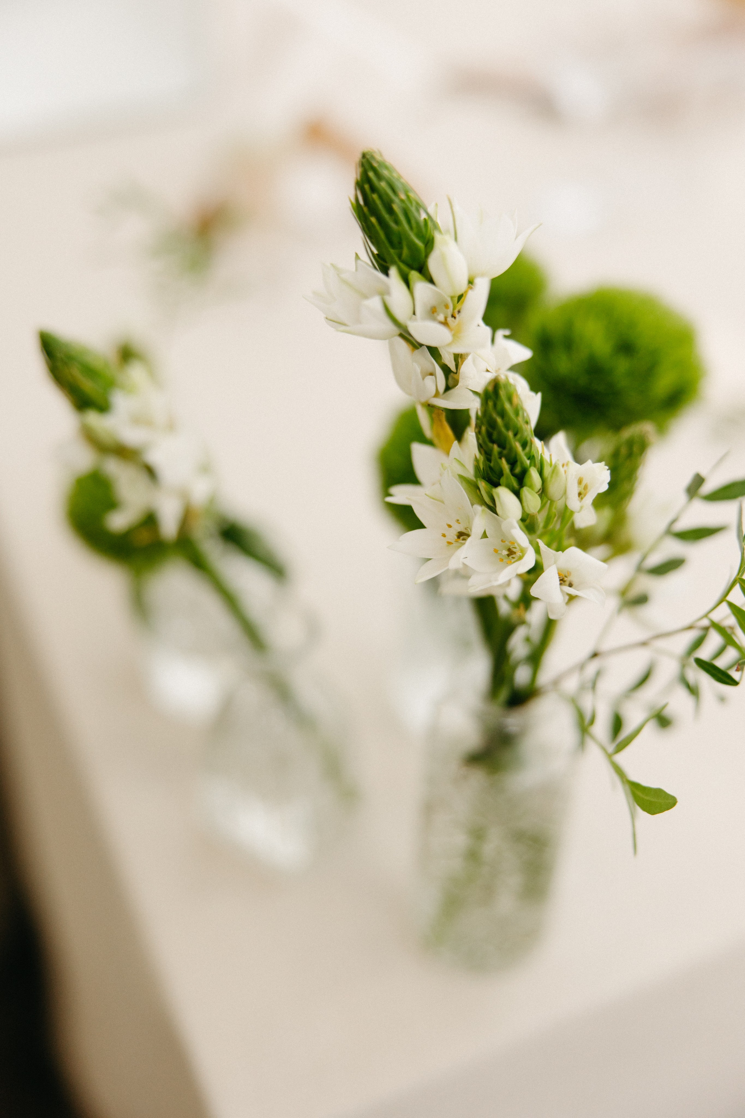 Андрей и Екатерина. Свадебный и семейный фотограф. Озерск, Челябинск и Екатеринбург