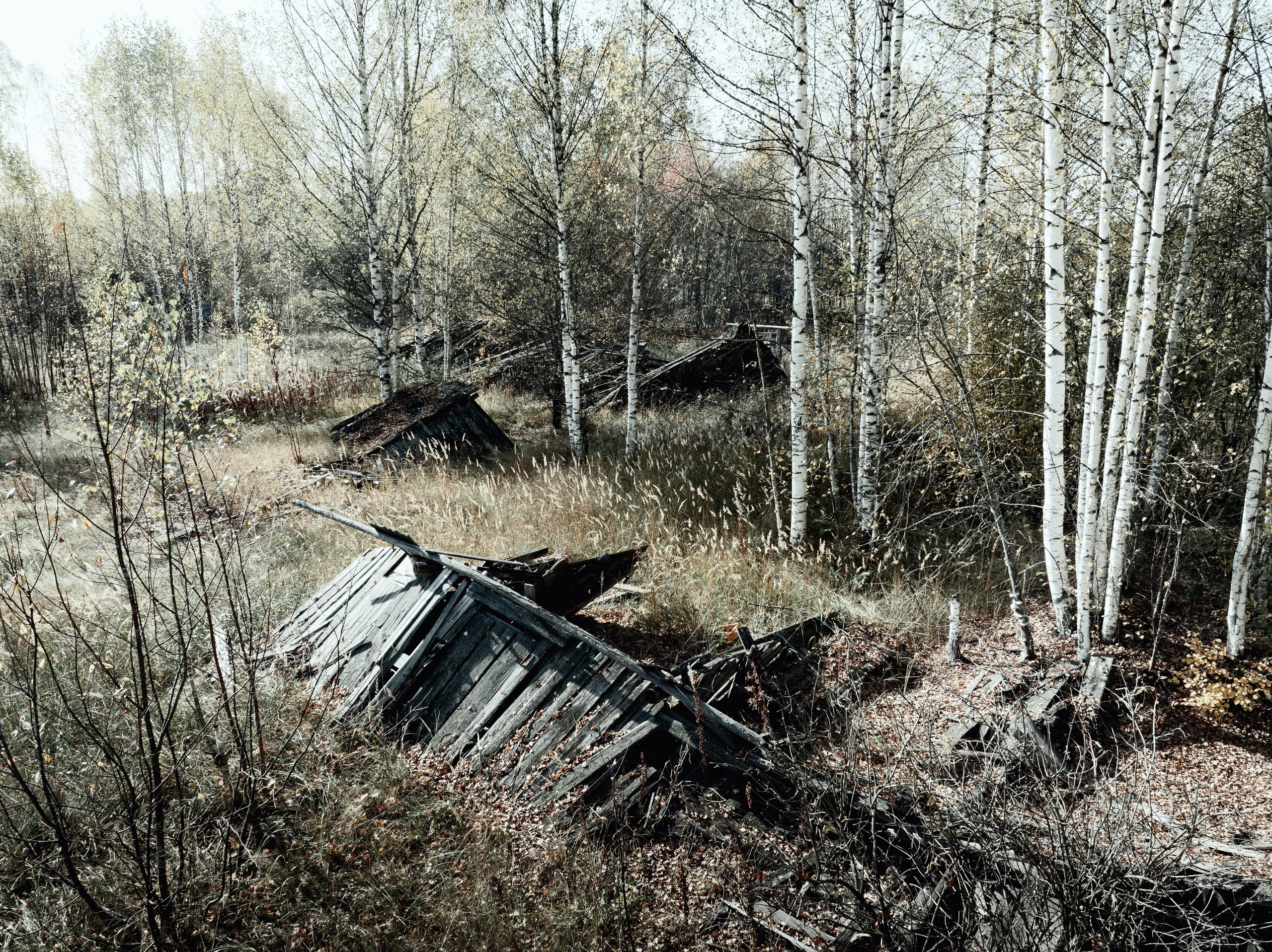 Природа. Фотограф Александр Тихонов