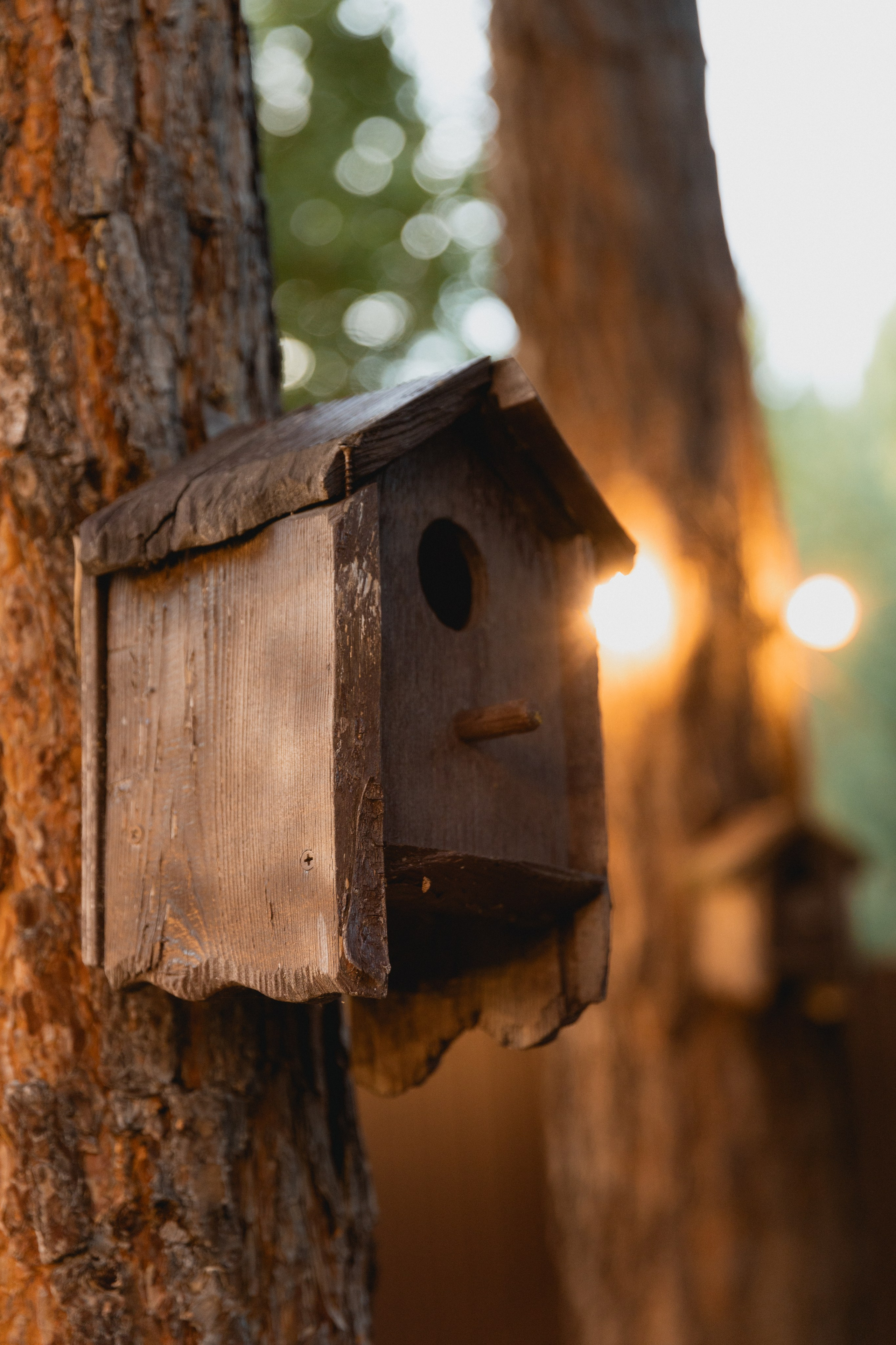 Дачная. Семейный и свадебный фотограф Лилия Матонина | Ангарск, Иркутск, Усолье-Сибирское, Байкал (Листвянка, Ольхон), Иркутская область