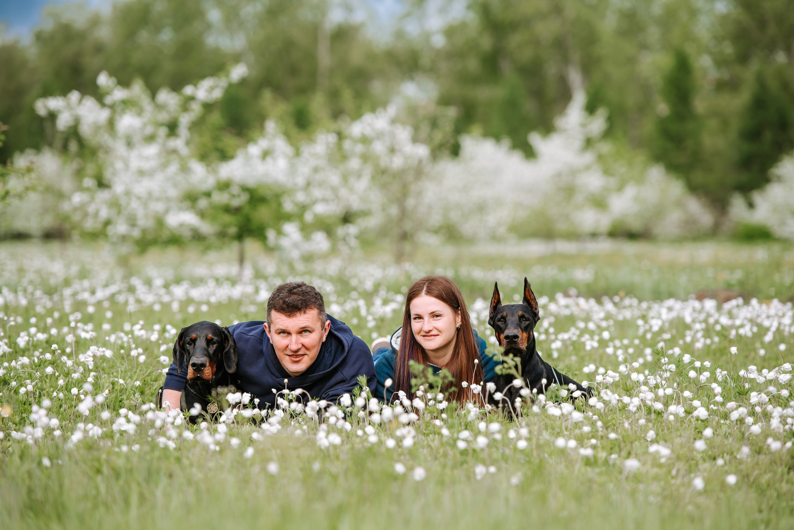 Цветение с доберманами. Фотограф Диана Оленина Красноярск / Братск