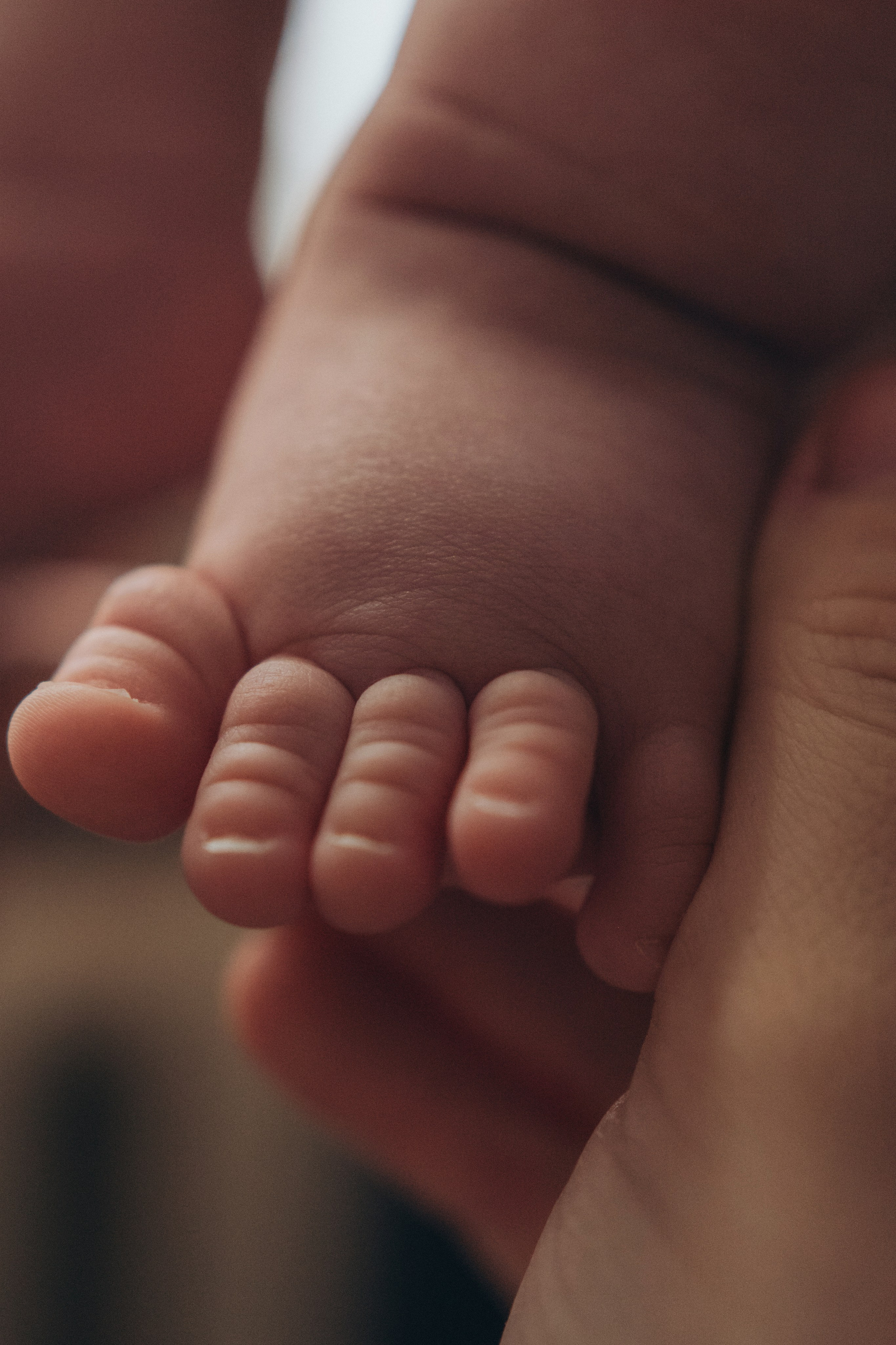 Аделина. Семейный фотограф в Новом Уренгое Алёна Пряженцева