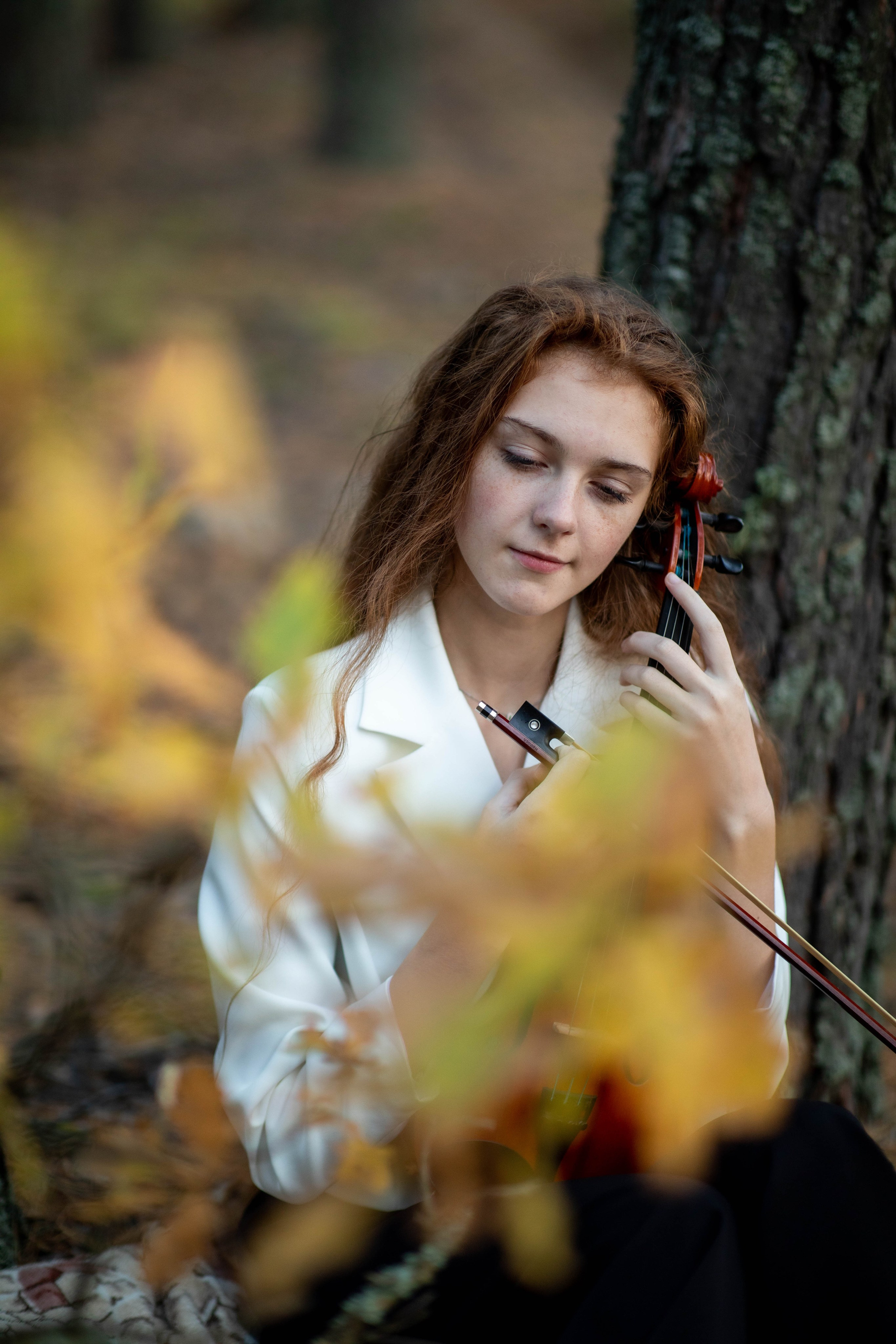 Скрипка и осень