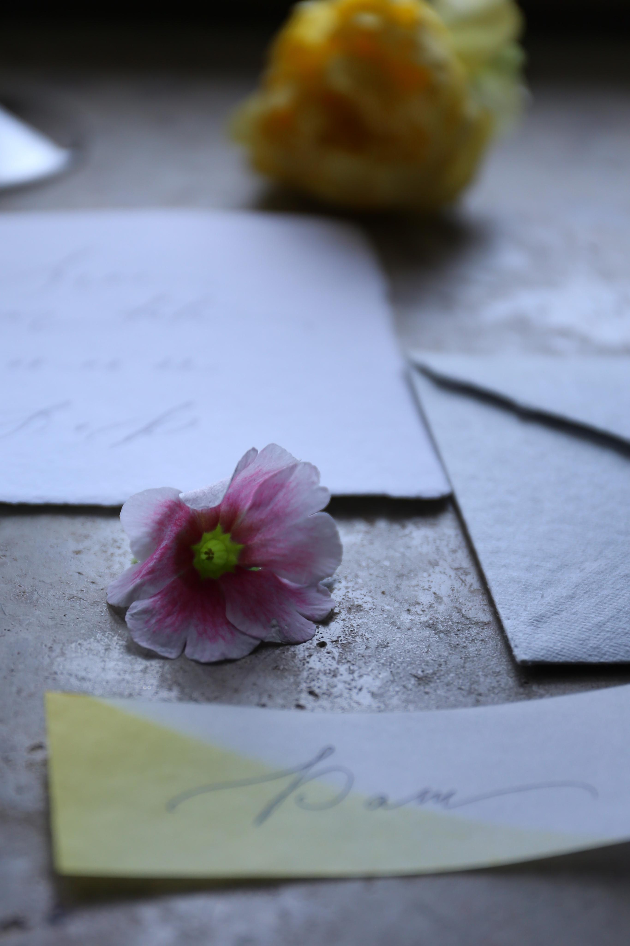 Artem & Tina. Свадебный фотограф в Санкт-Петербурге Михайлова Анна