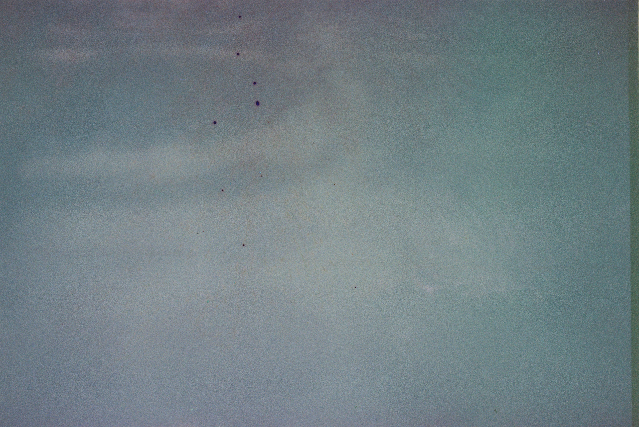 SWASTIASTU. Сocoobird || Атмосфера твоего бренда в снимках и видео