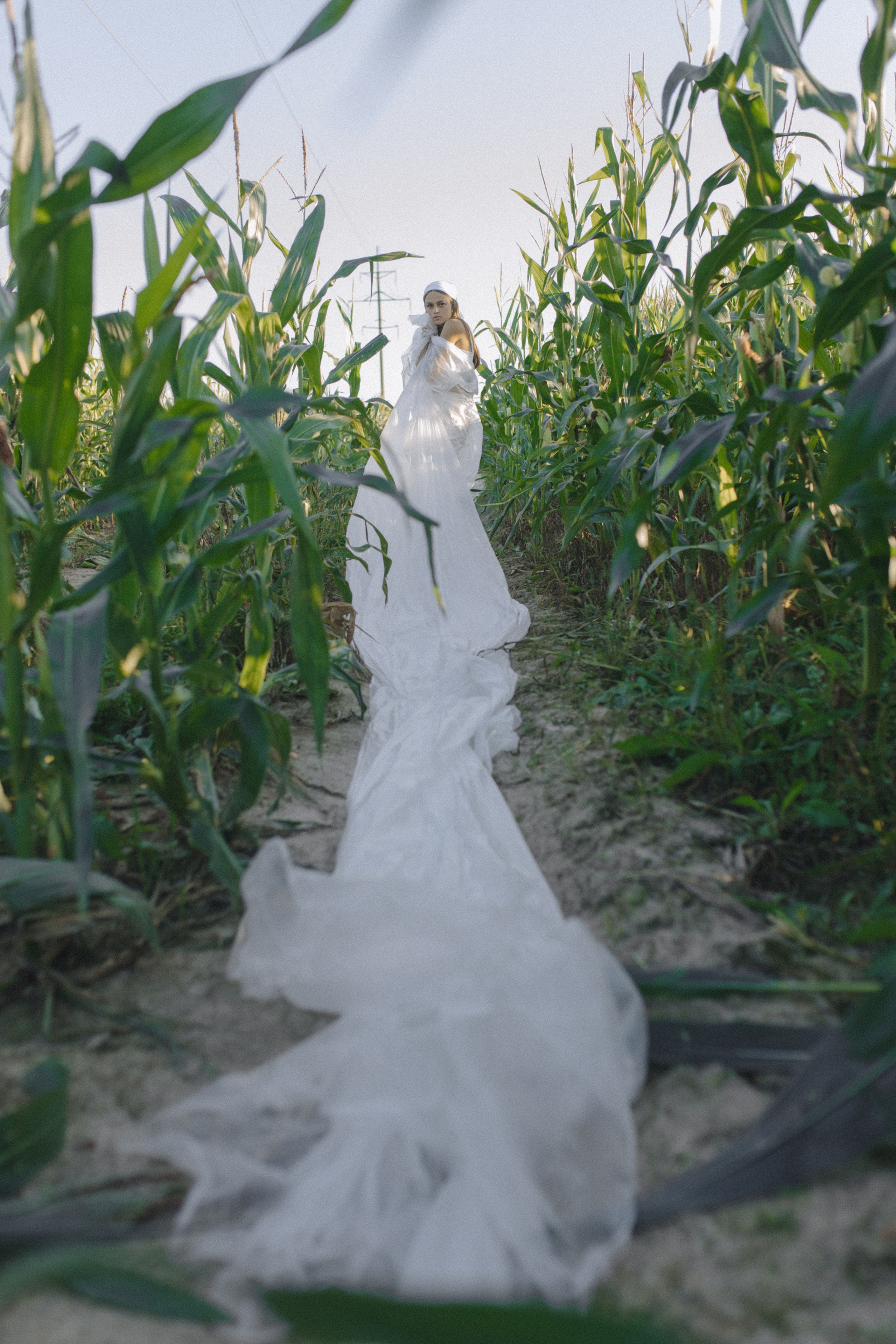 Любовь нашла в кукурузе